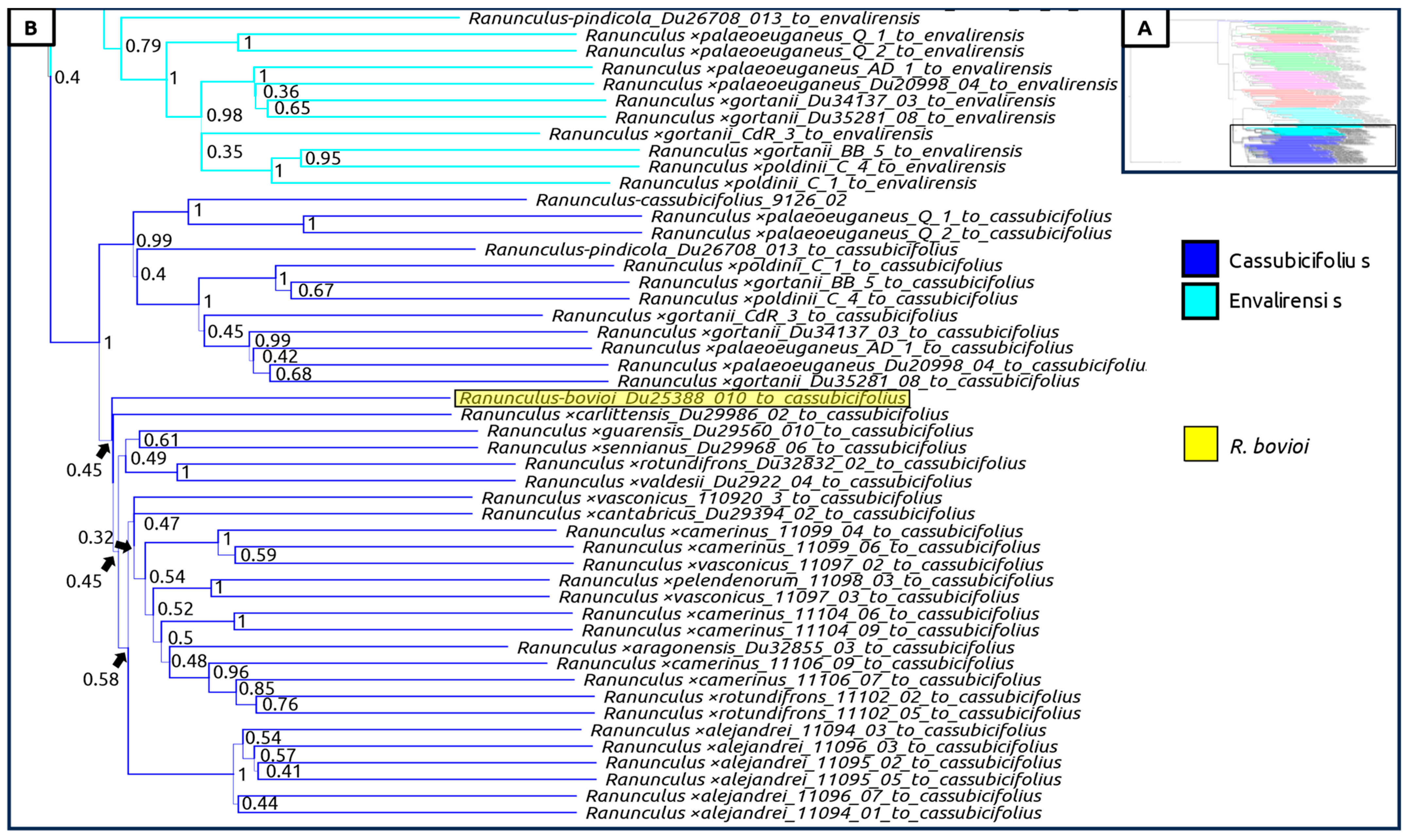 Plants 12 03664 g007