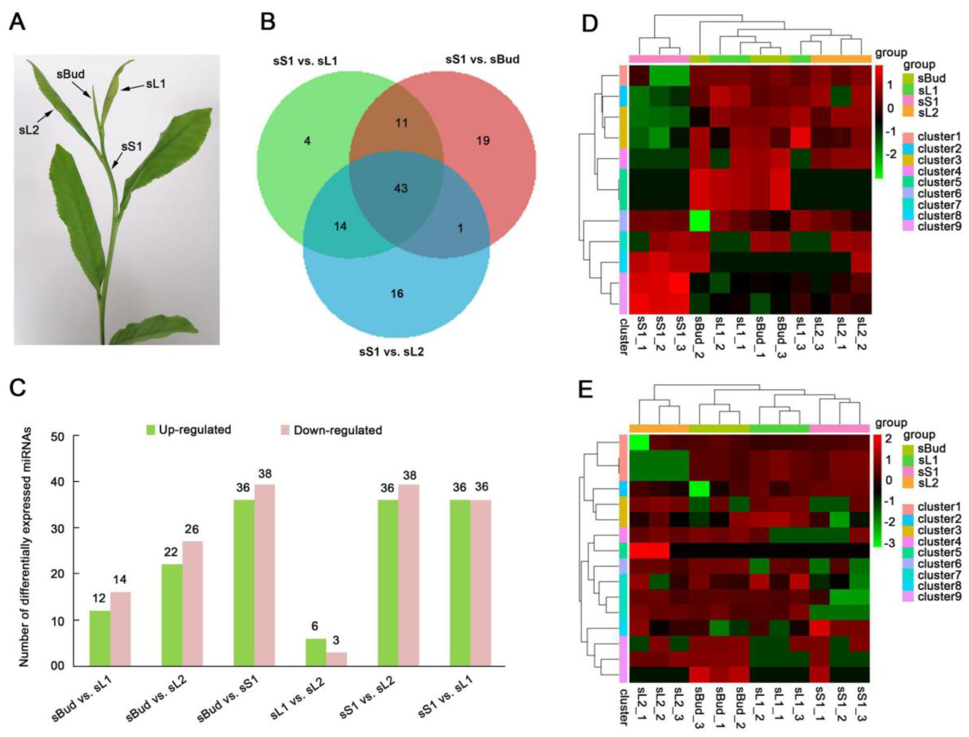 Plants 12 03665 g003