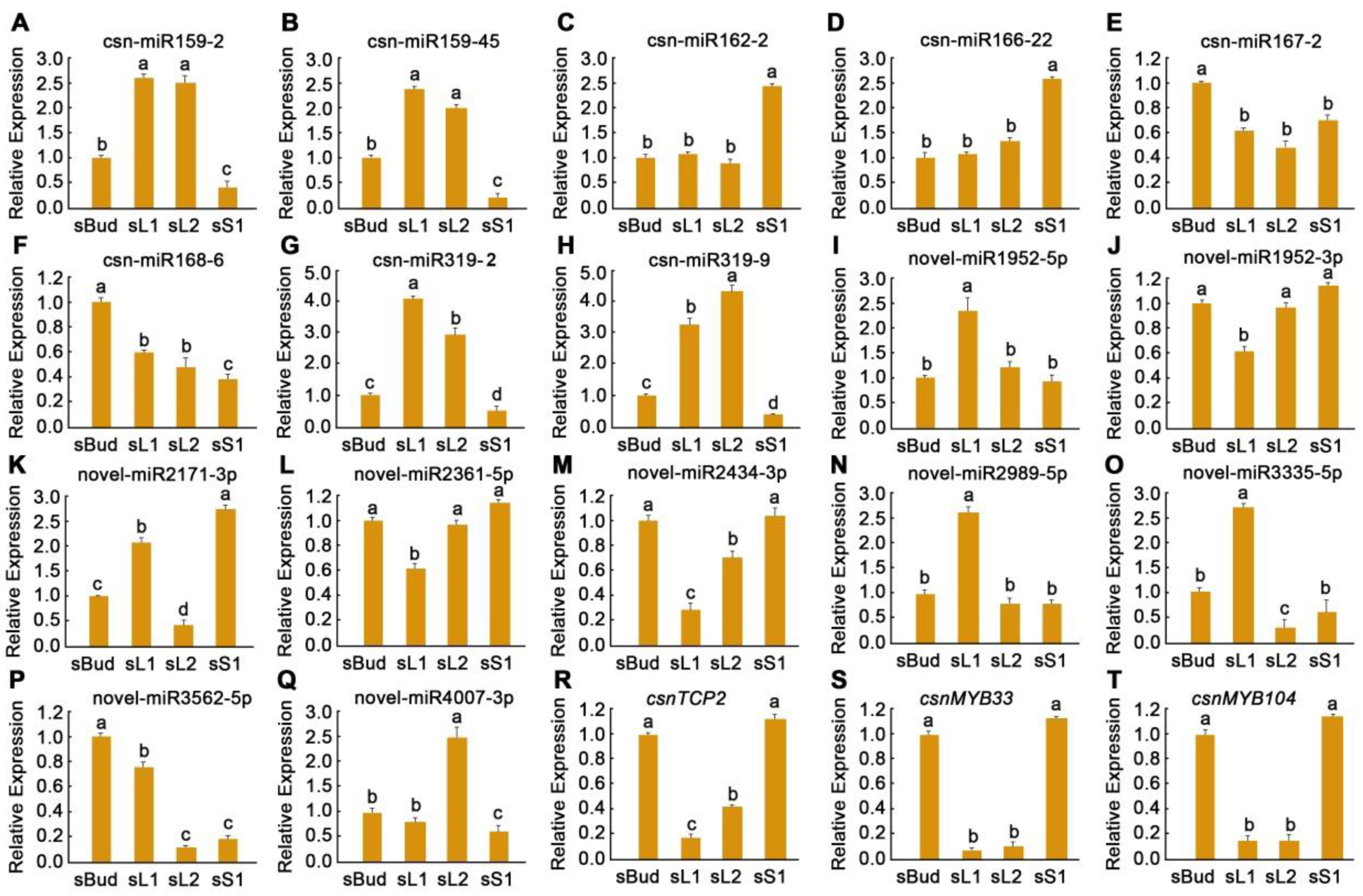 Plants 12 03665 g004