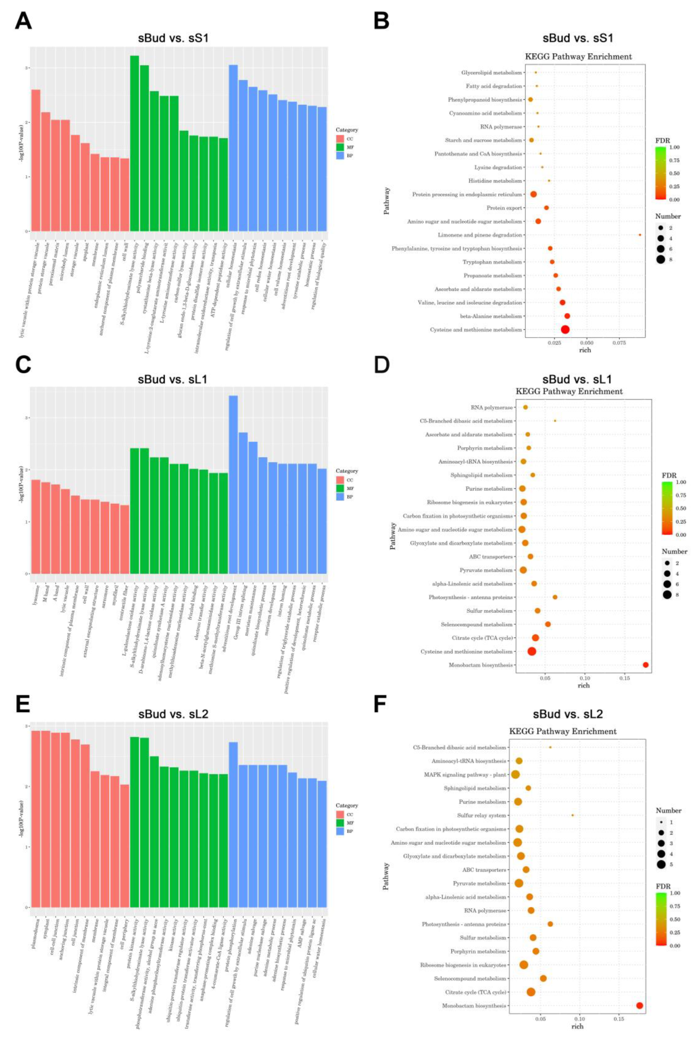 Plants 12 03665 g005