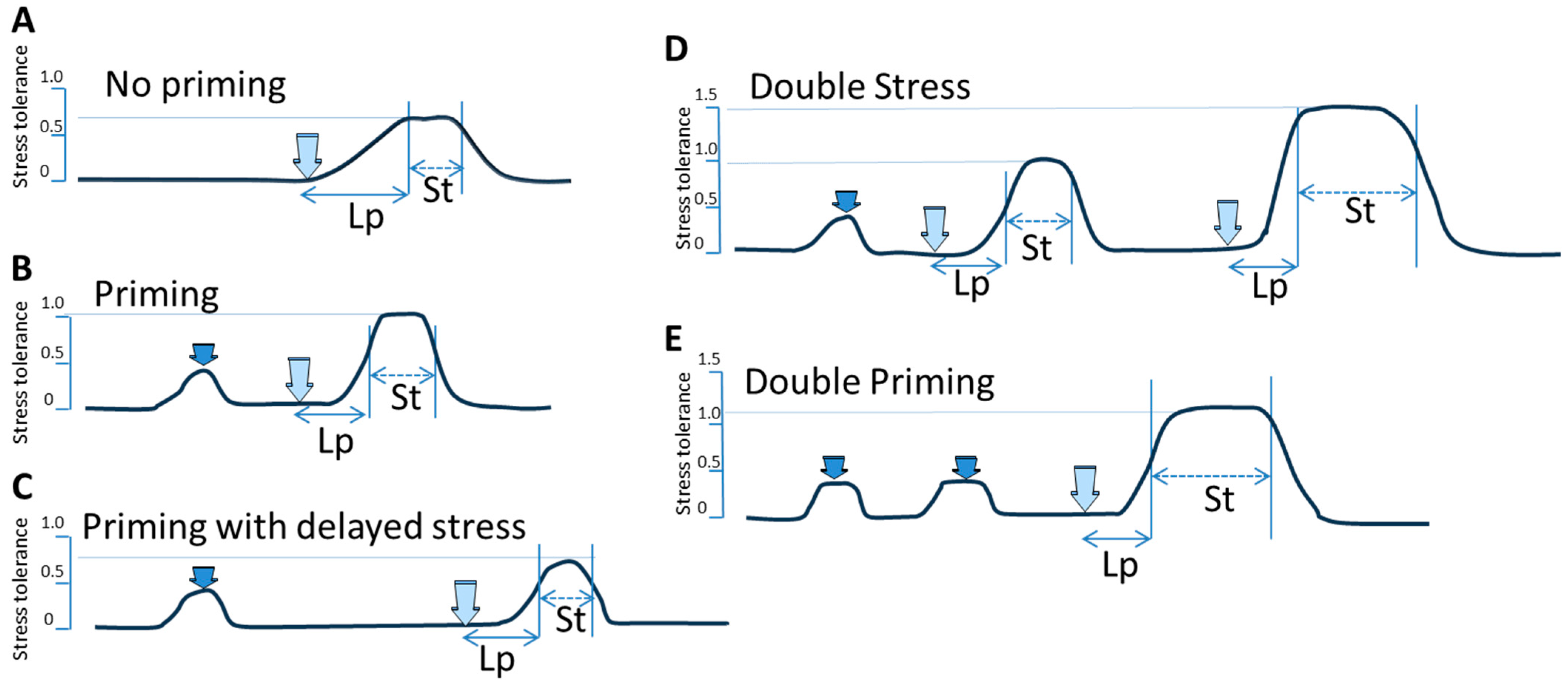Plants 12 03667 g001 Plants 12 03667 g001