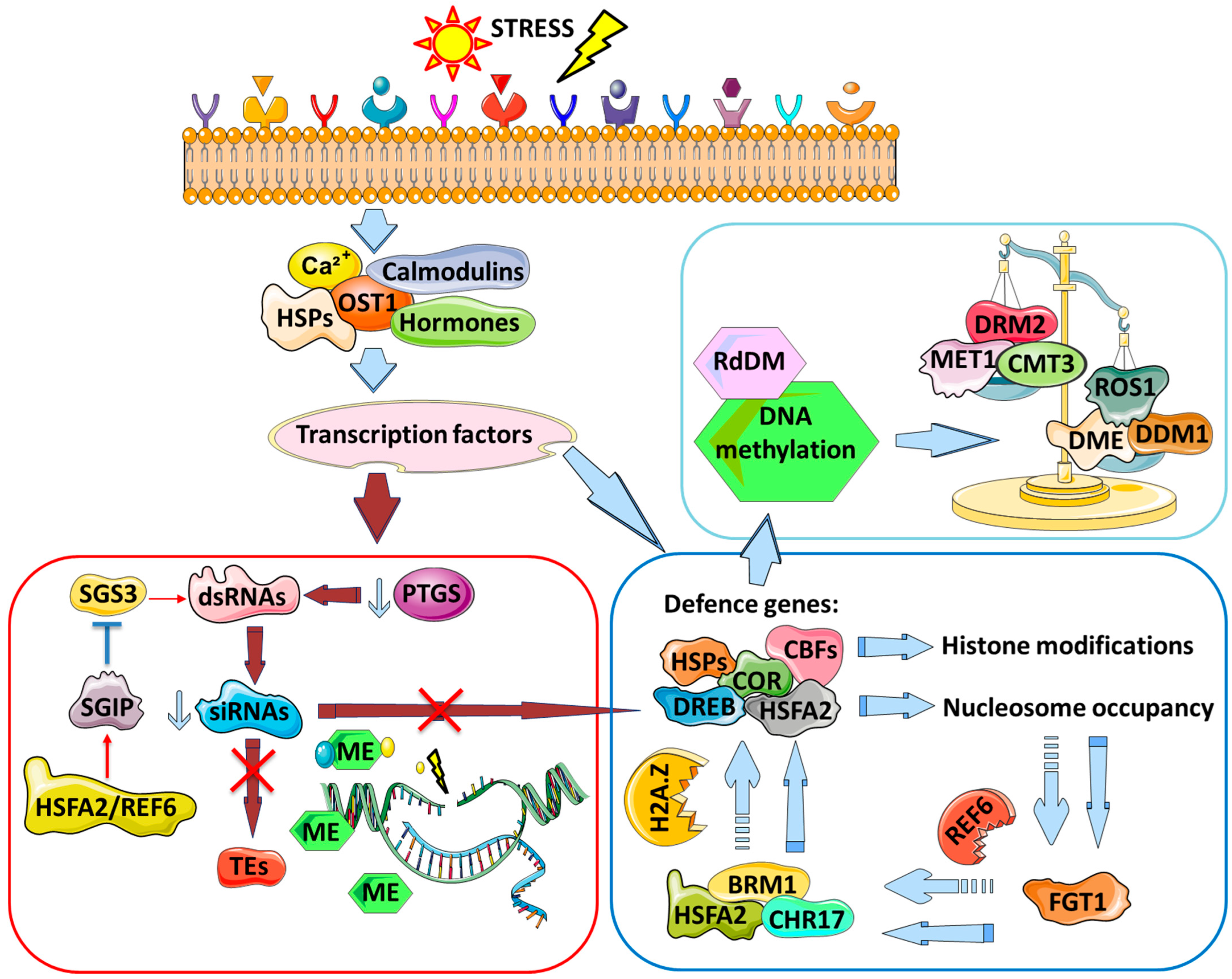 Plants 12 03667 g002 Plants 12 03667 g002