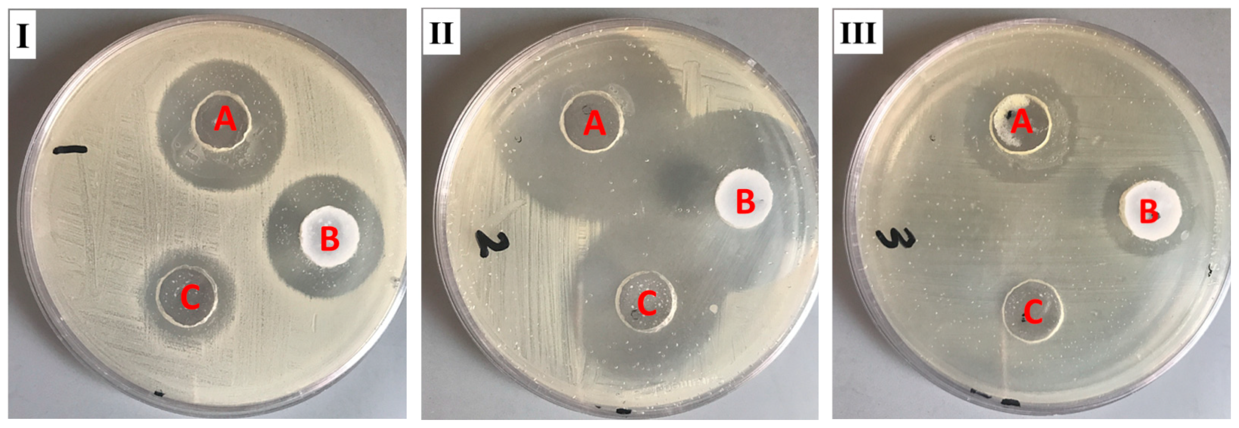 Plants 12 03670 g007