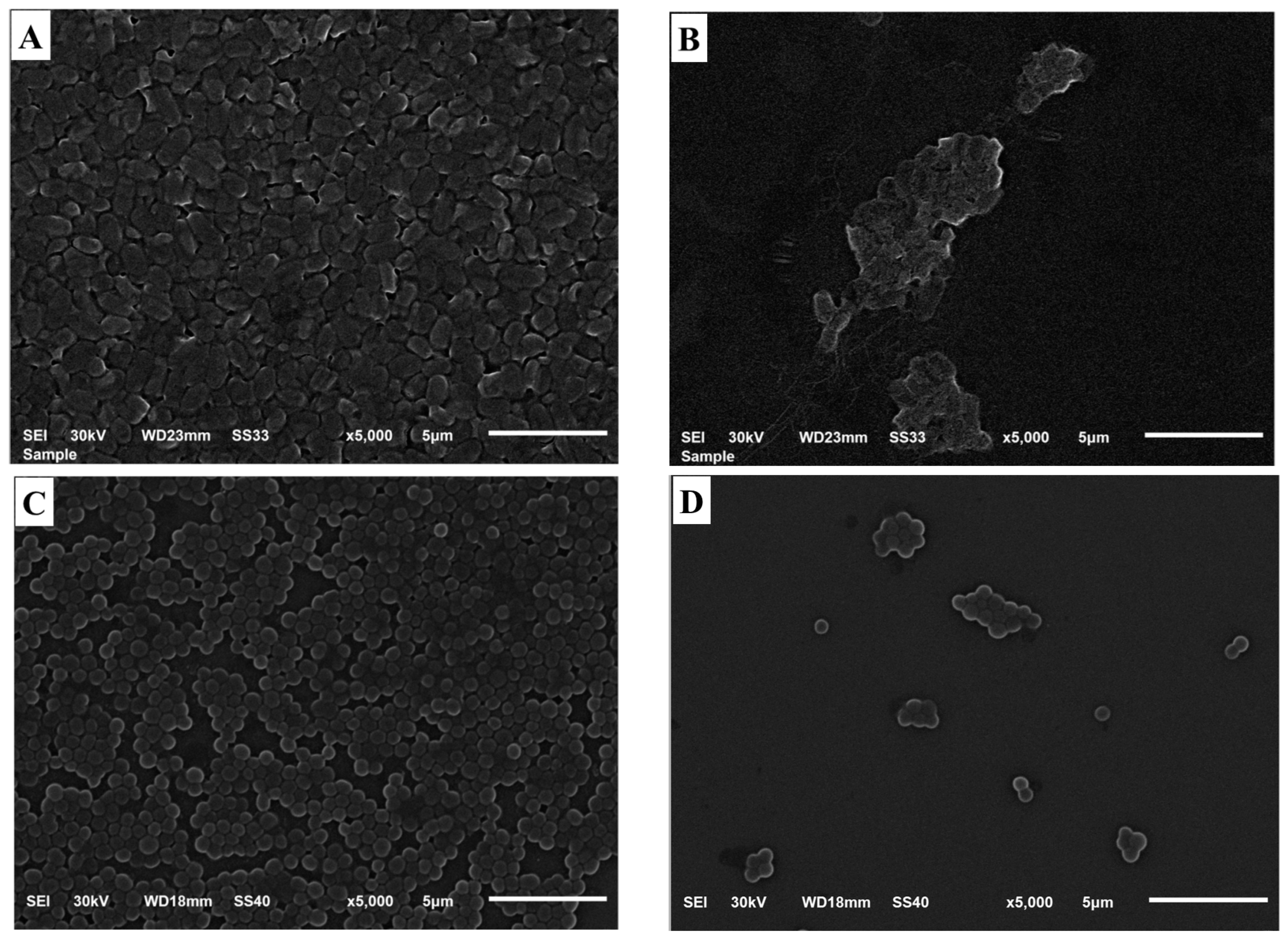 Plants 12 03670 g008