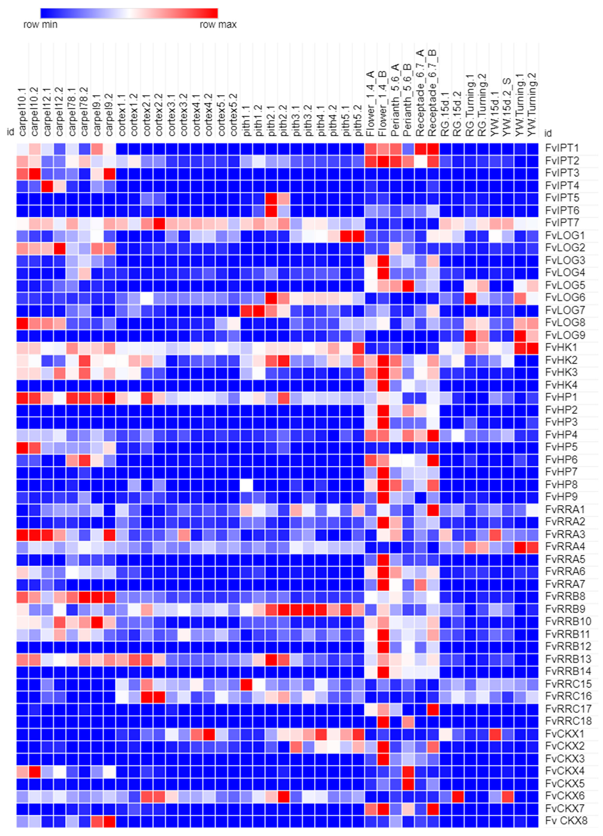 Plants 12 03672 g002
