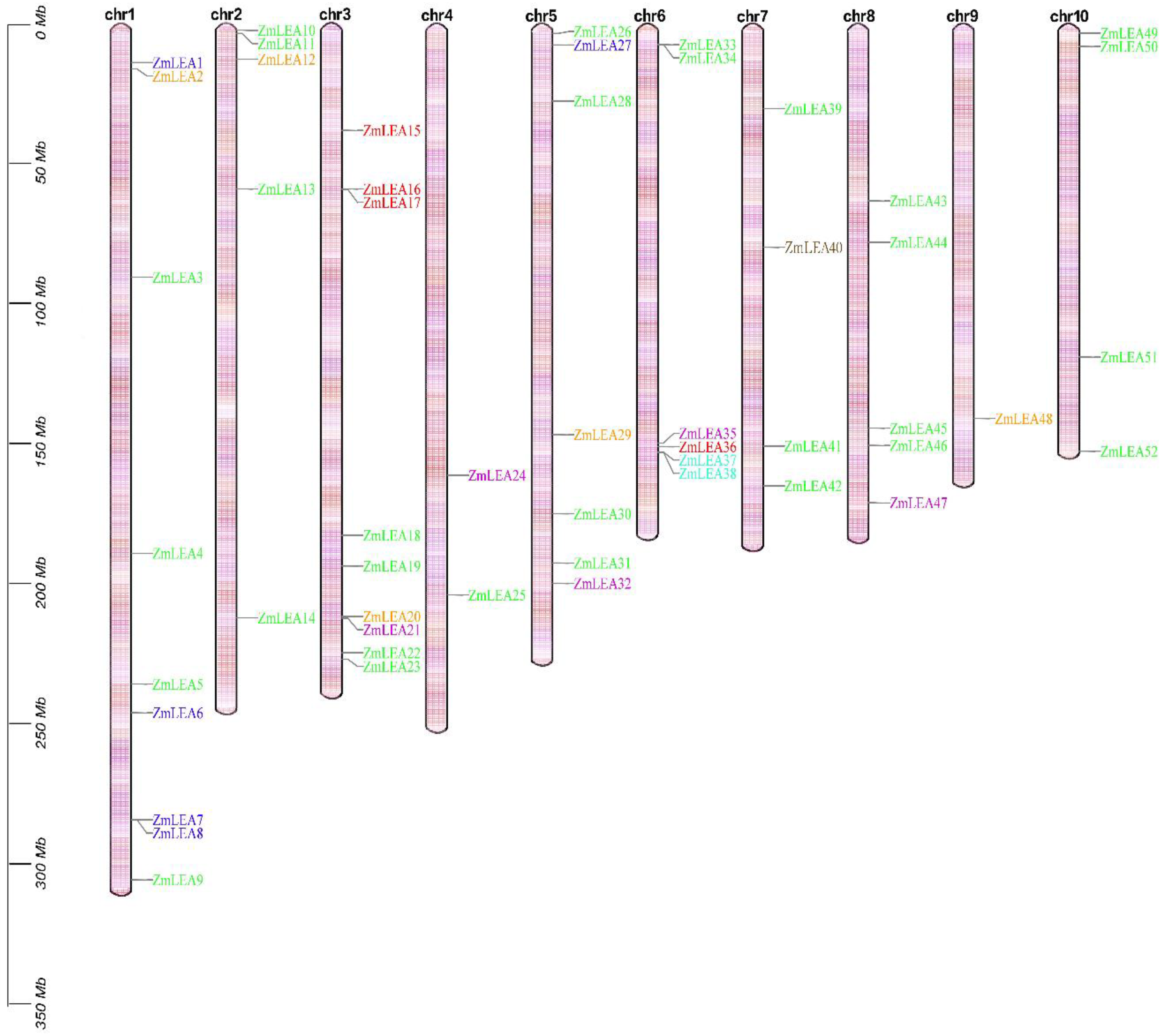 Plants 12 03674 g001