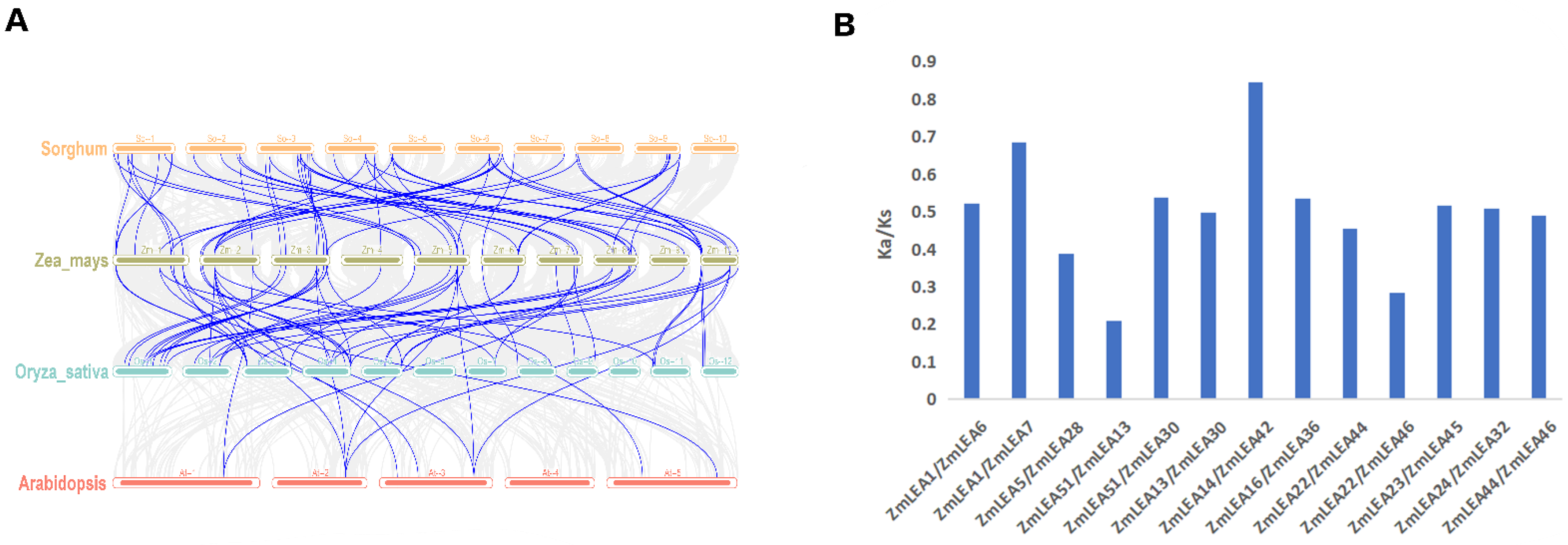 Plants 12 03674 g003