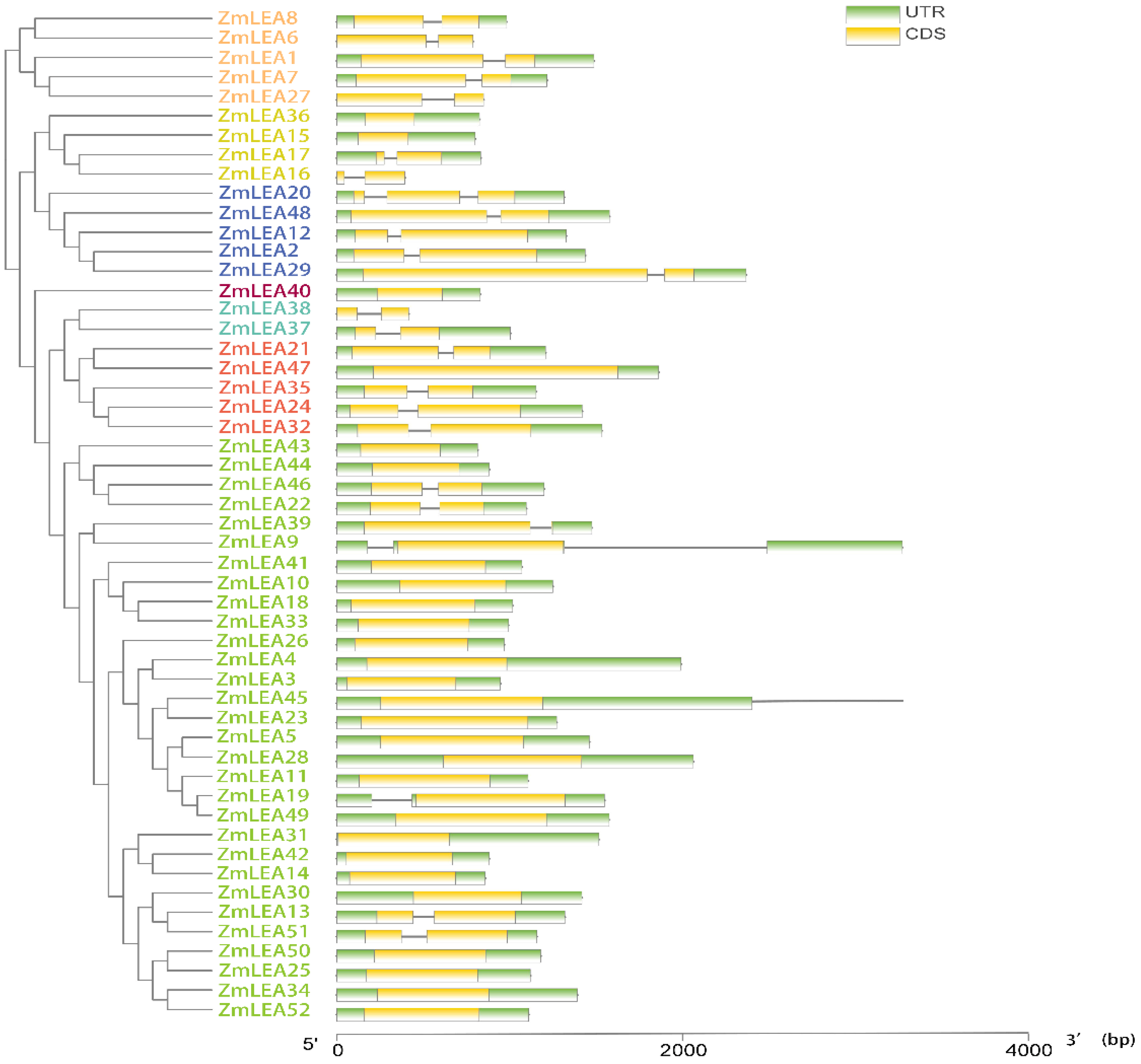 Plants 12 03674 g005