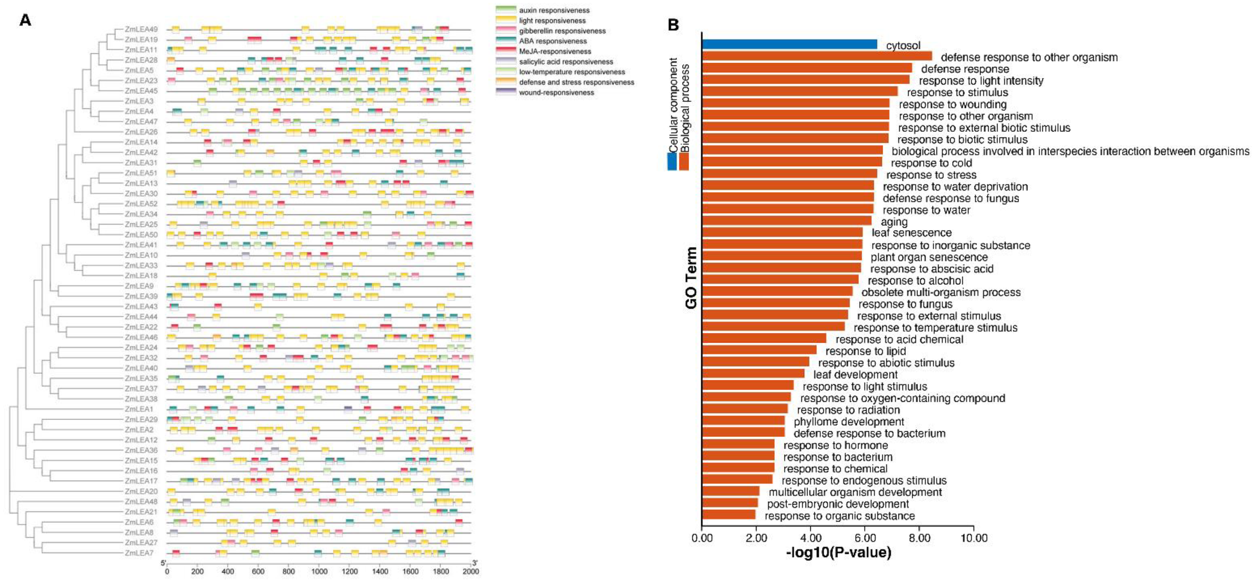Plants 12 03674 g007