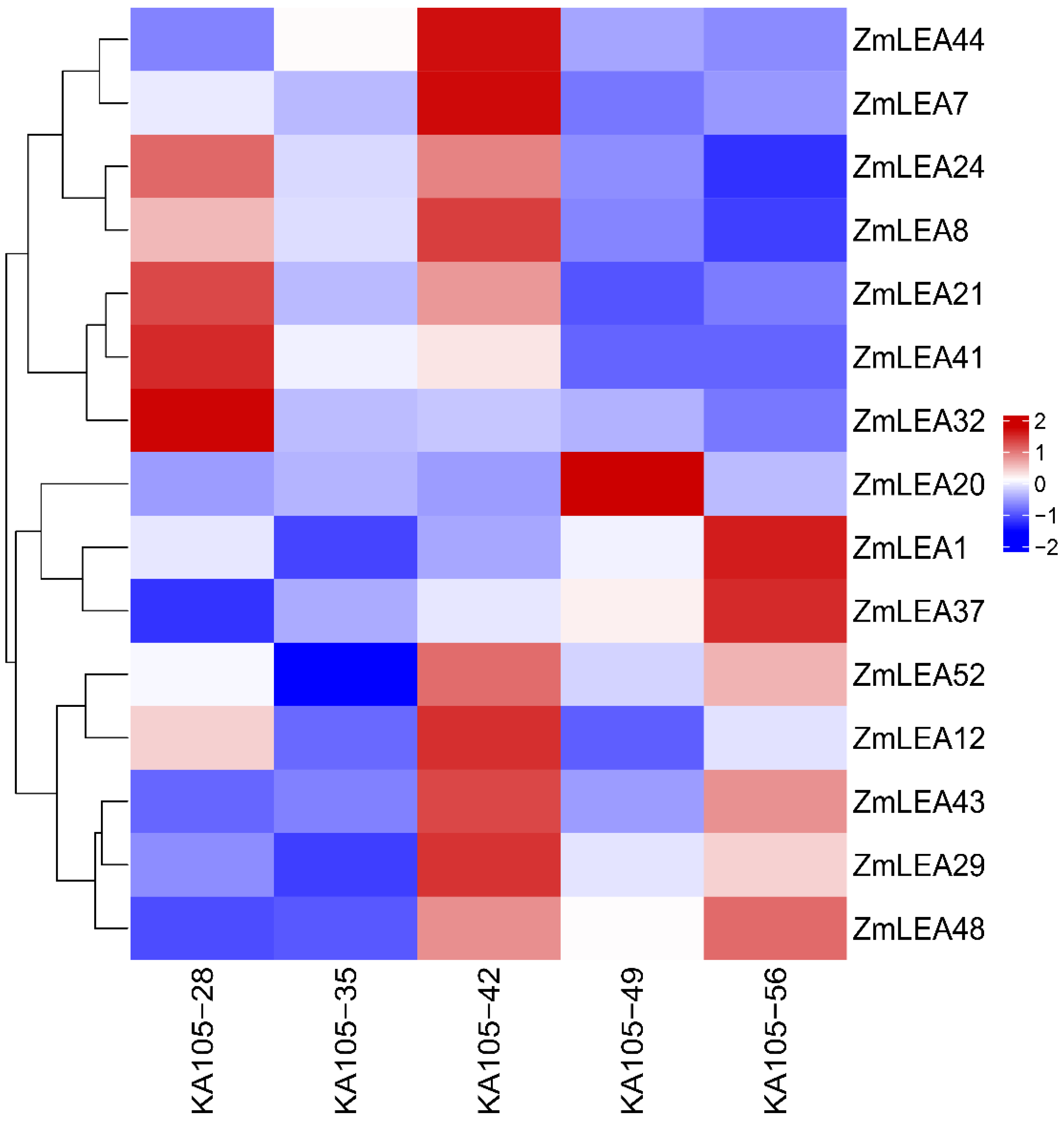 Plants 12 03674 g009