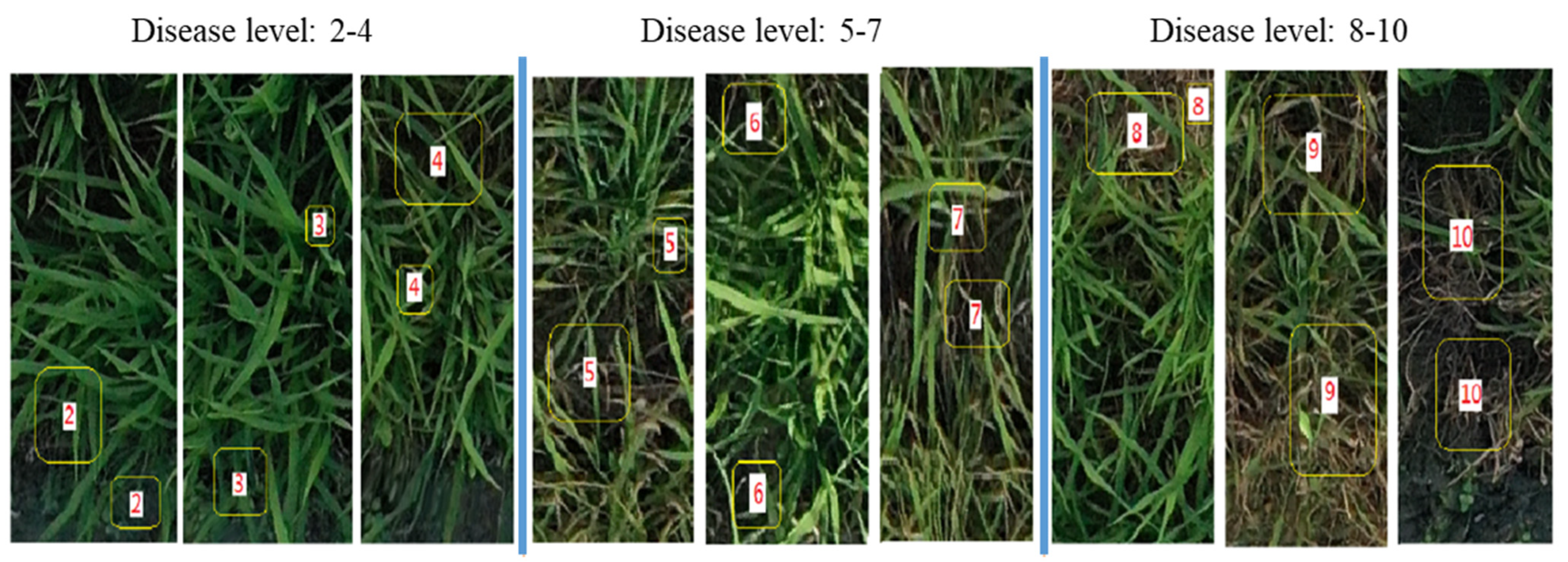 Plants 12 03675 g002