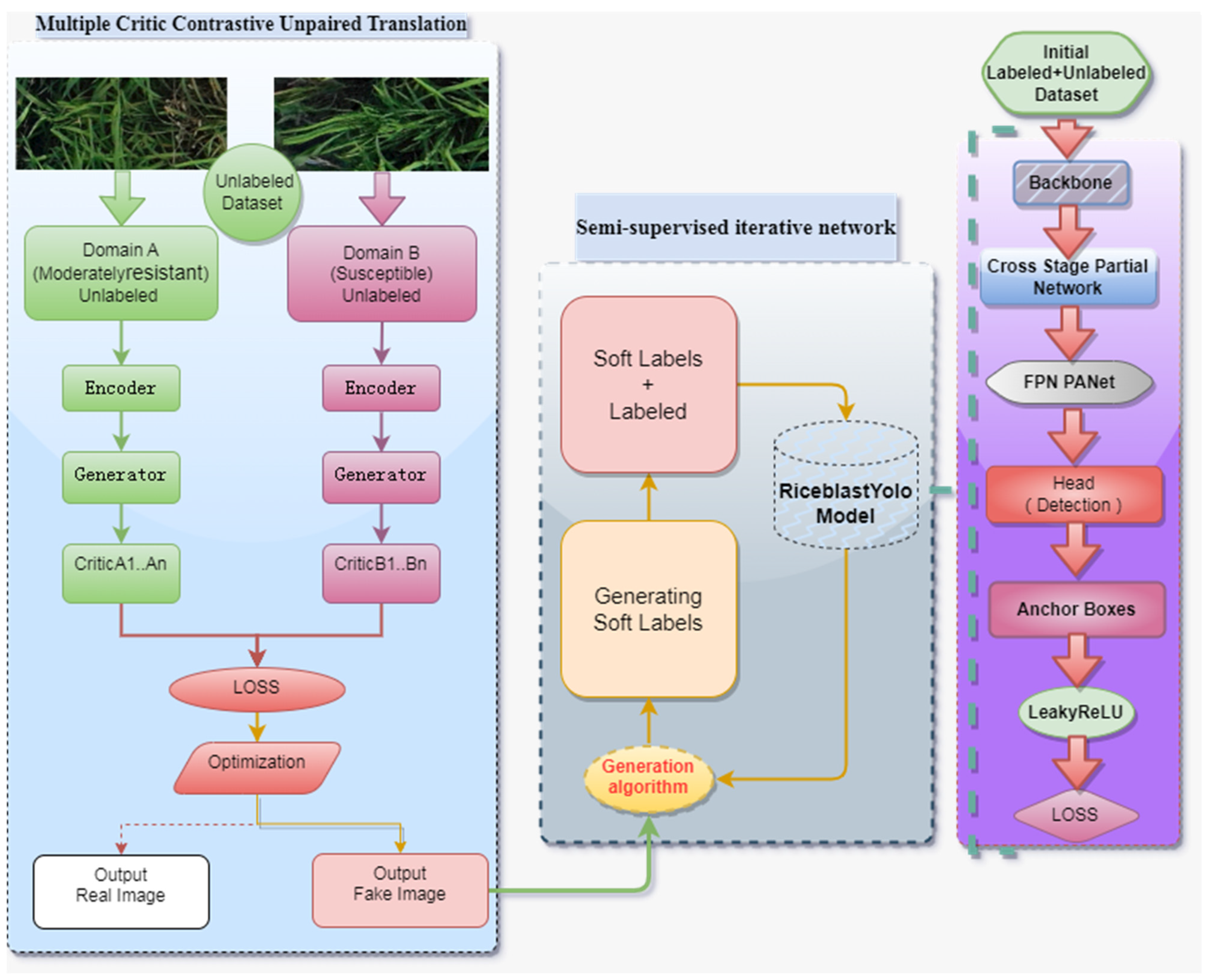 Plants 12 03675 g003