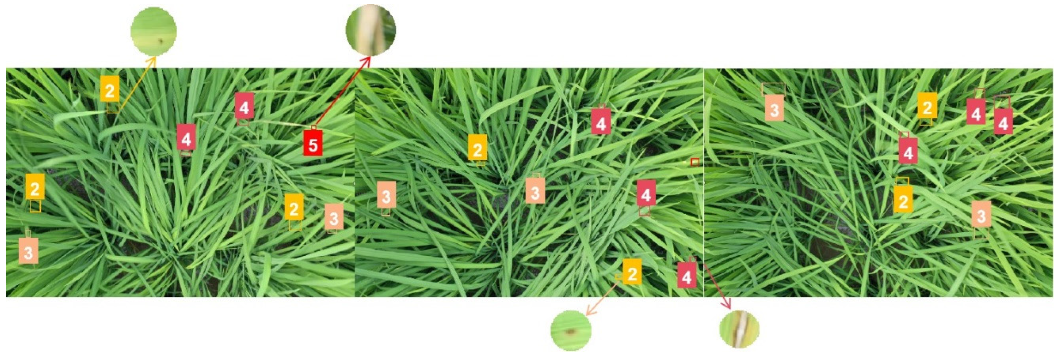 Plants 12 03675 g016