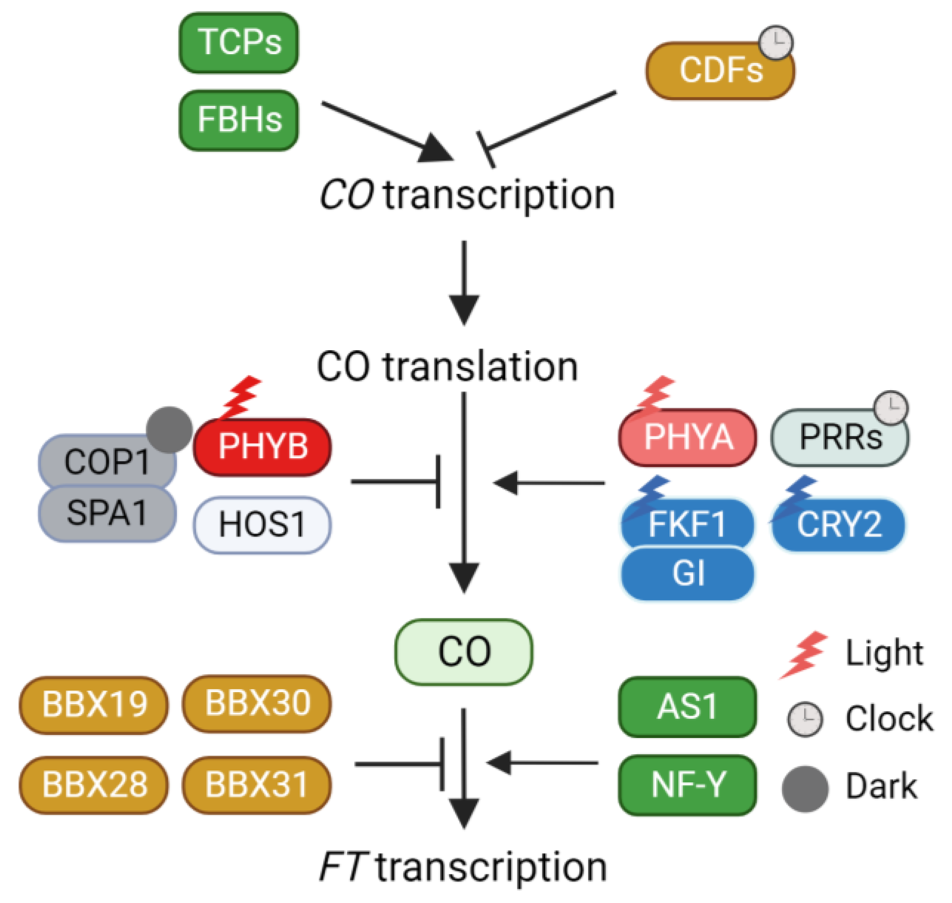 Plants 12 03680 g001
