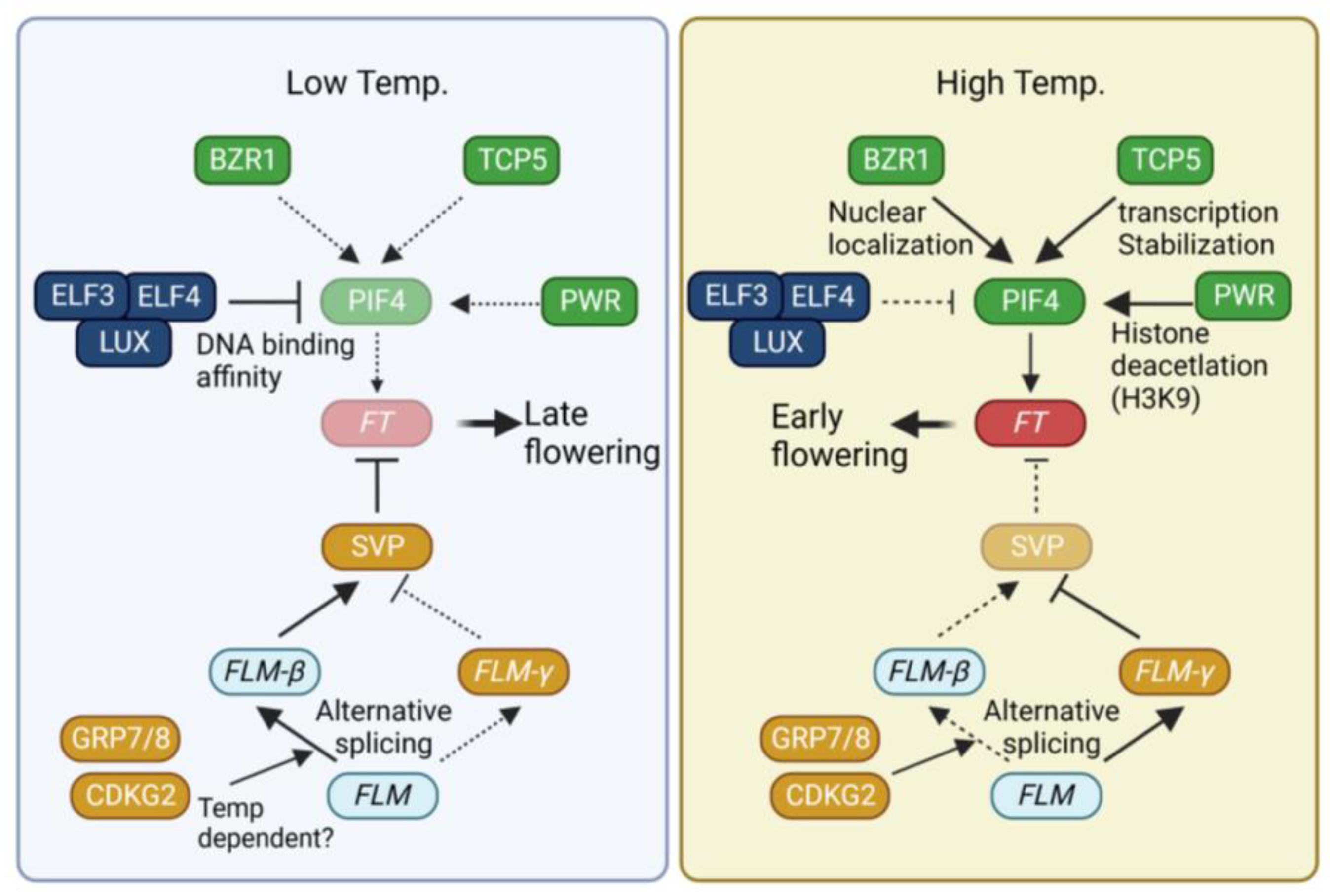 Plants 12 03680 g002