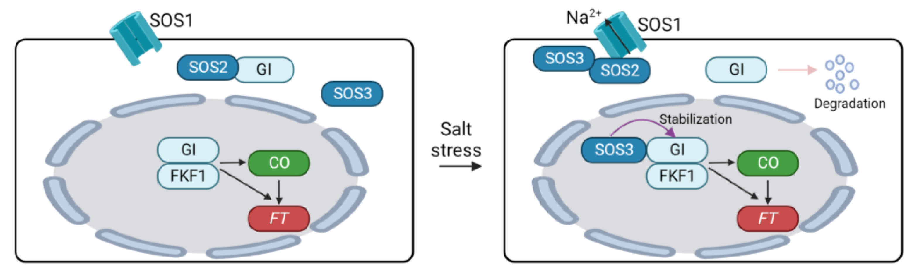 Plants 12 03680 g004