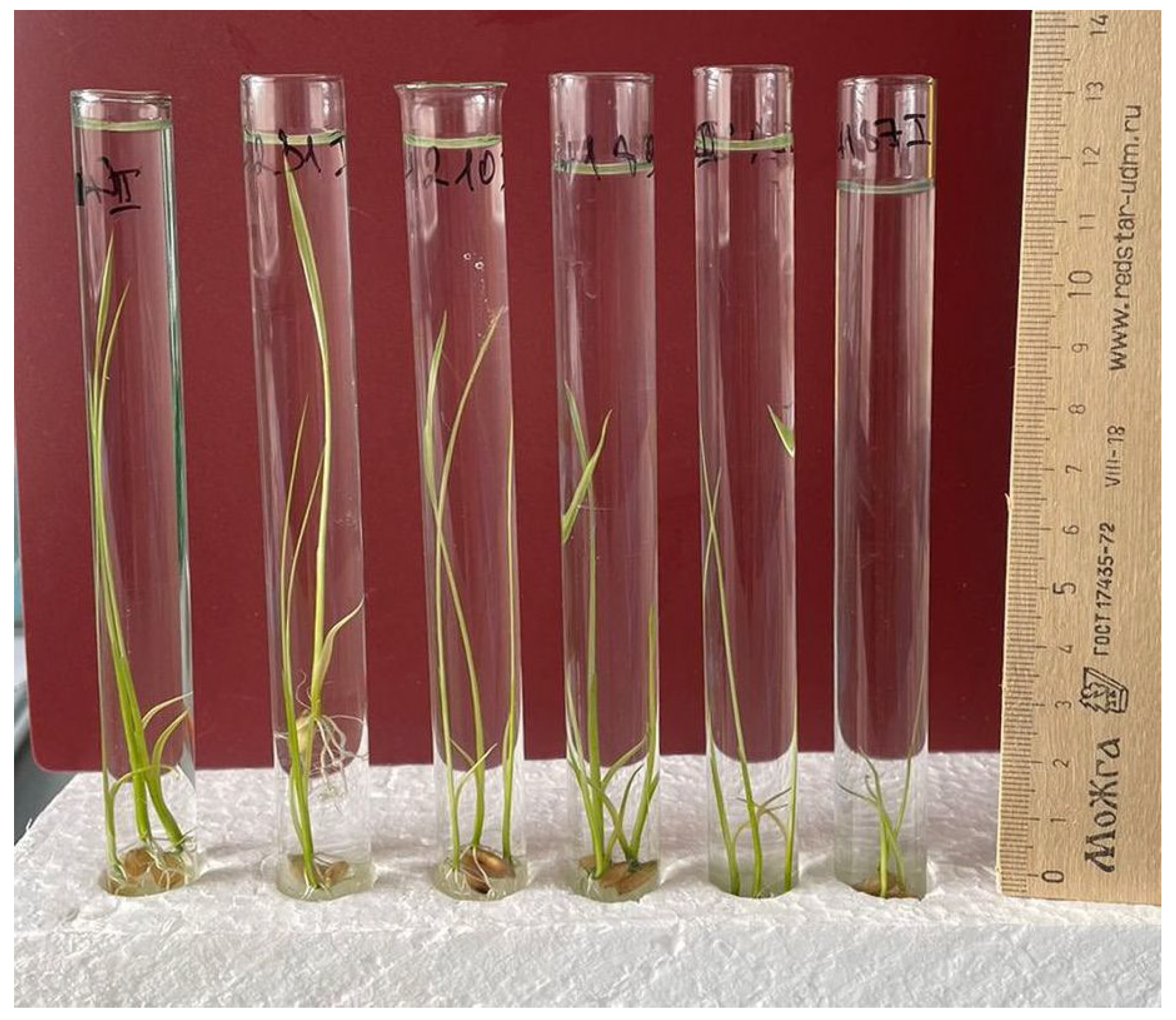 Plants 12 03681 g002