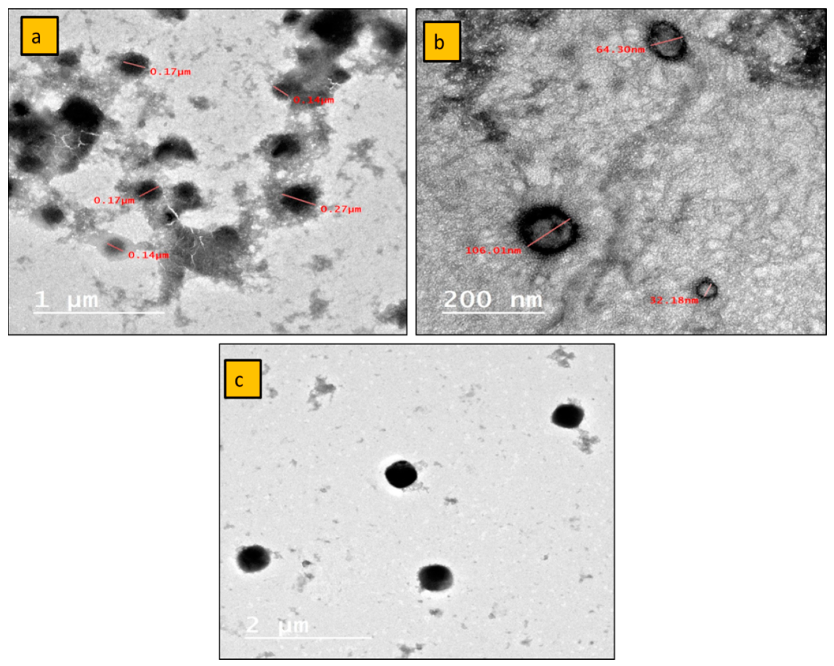 Plants 12 03682 g004