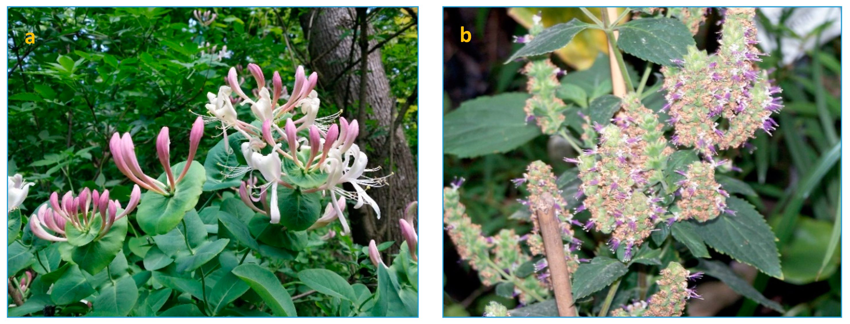 Plants 12 03682 g008