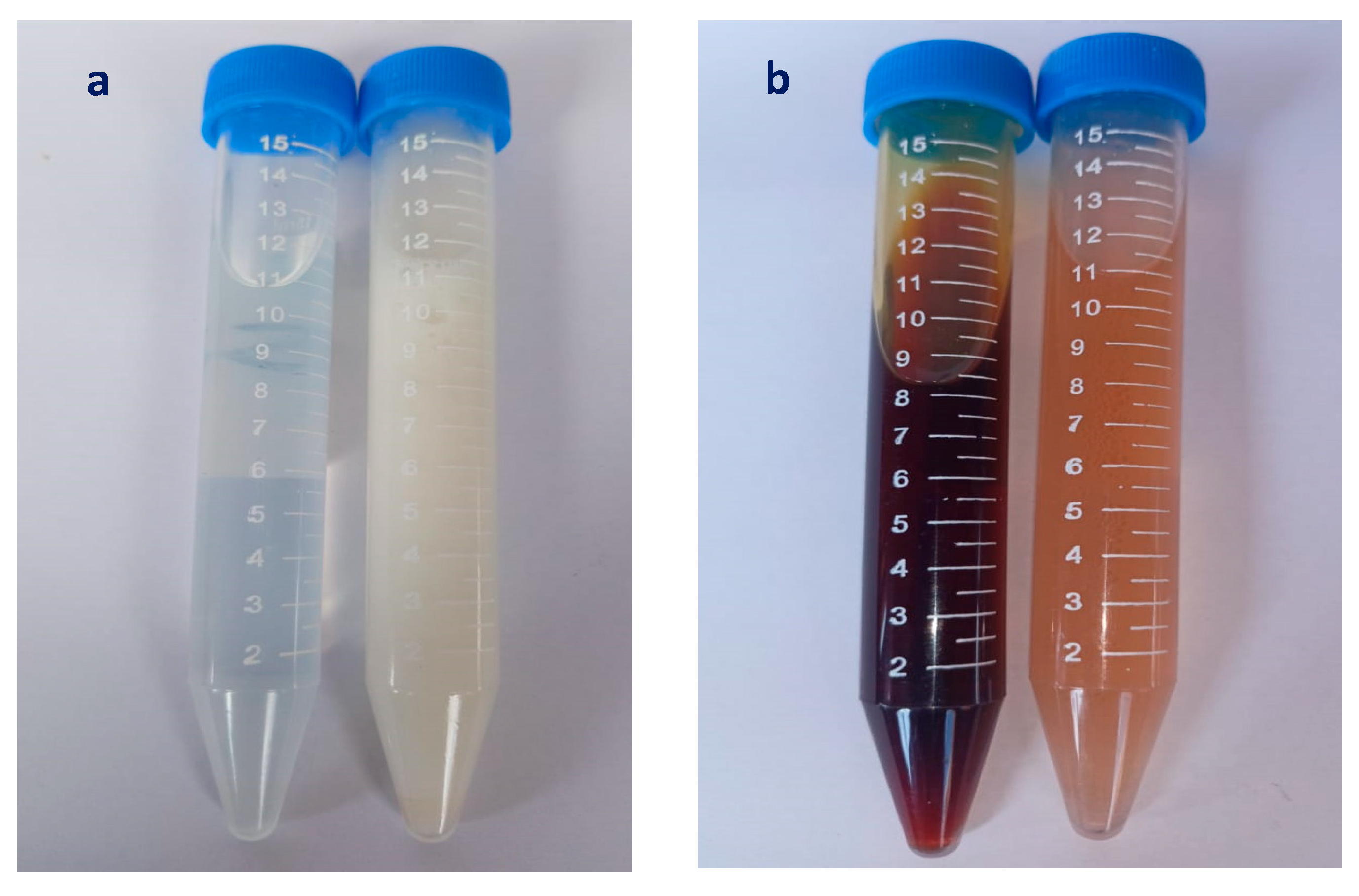 Plants 12 03682 g009