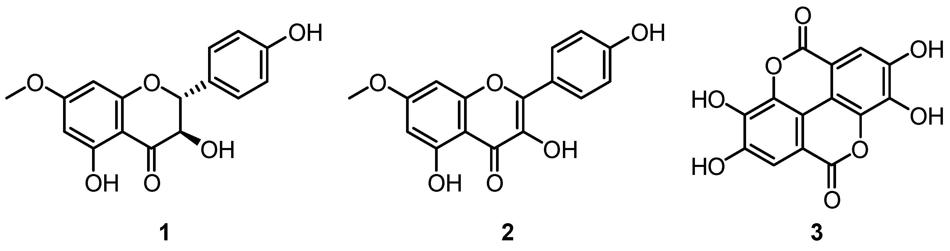 Plants 12 03686 g004