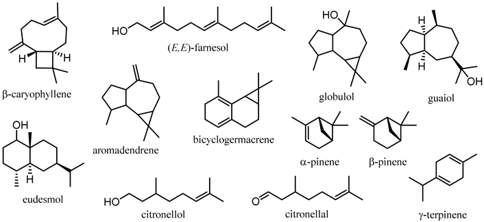 Plants 12 03686 i001