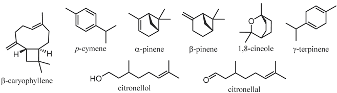 Plants 12 03686 i002