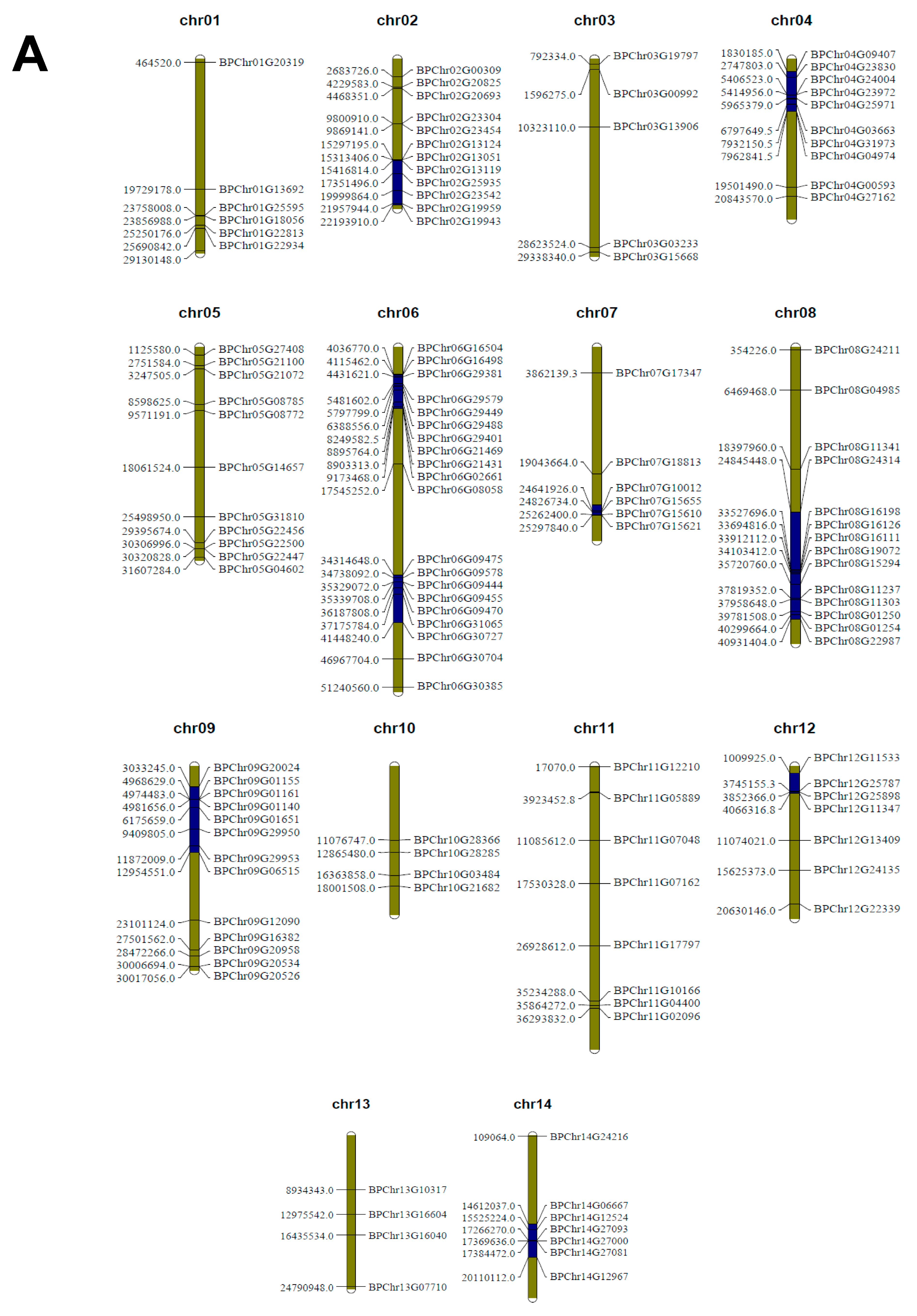 Plants 12 03687 g001a