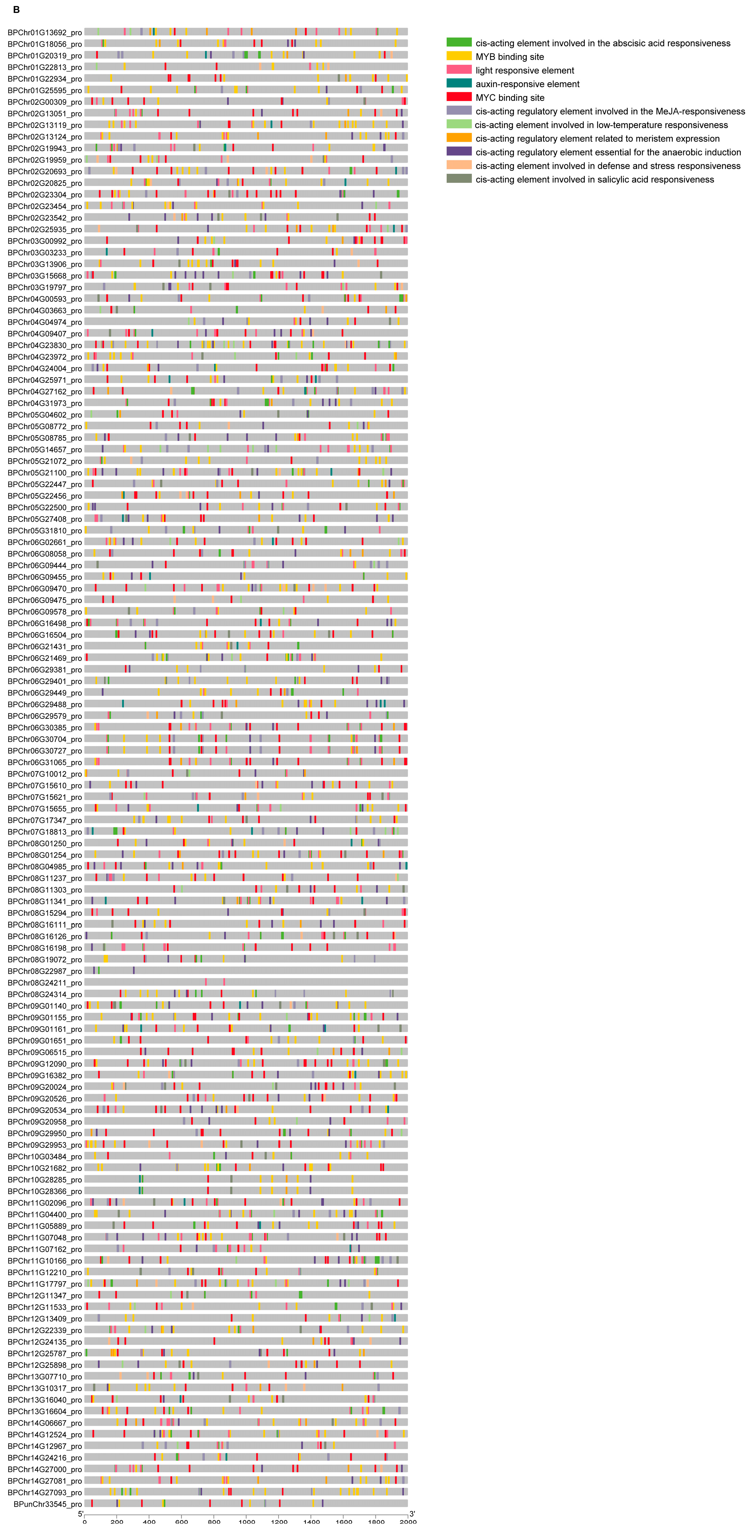 Plants 12 03687 g003b