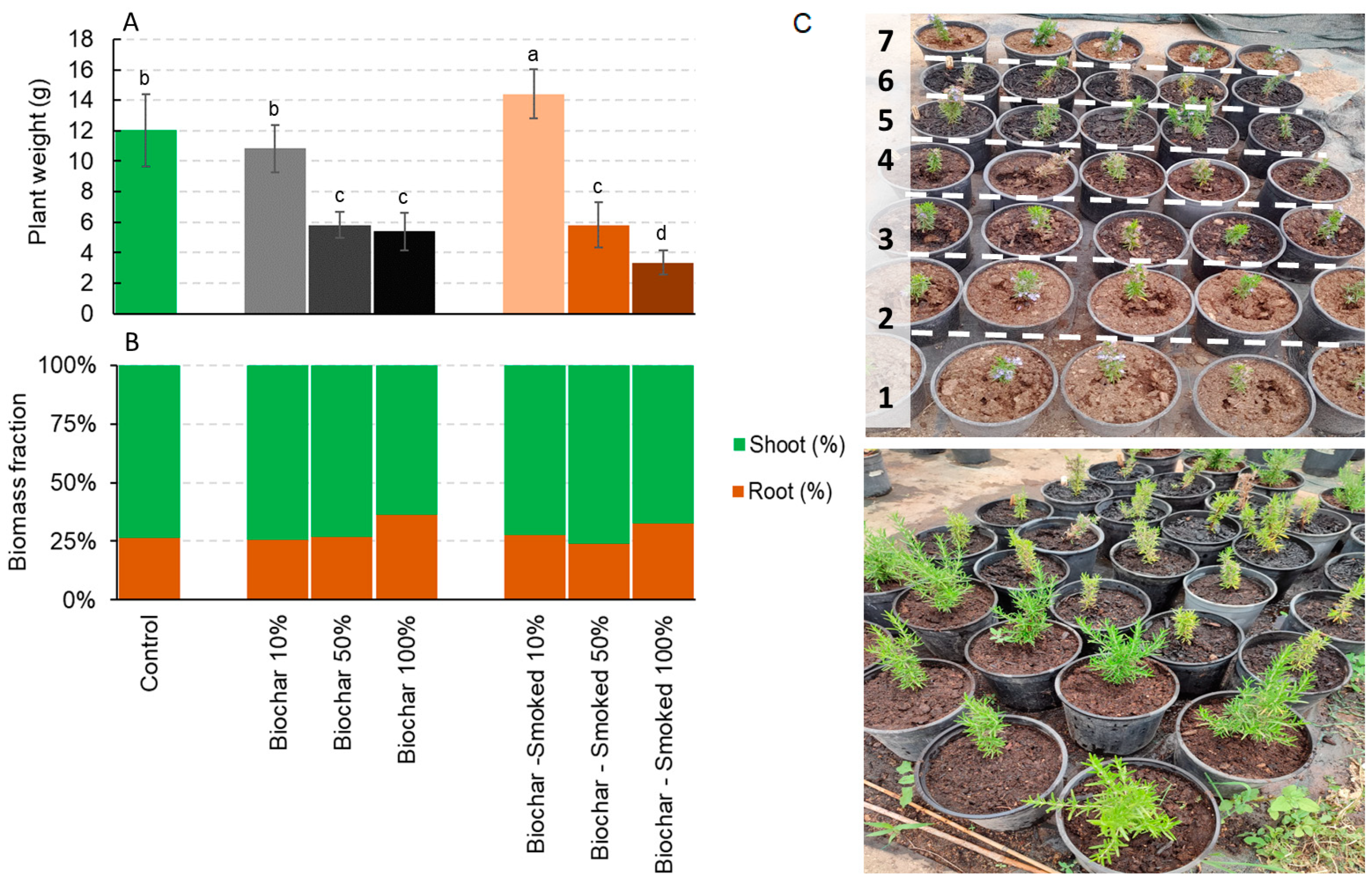 Plants 12 03689 g001