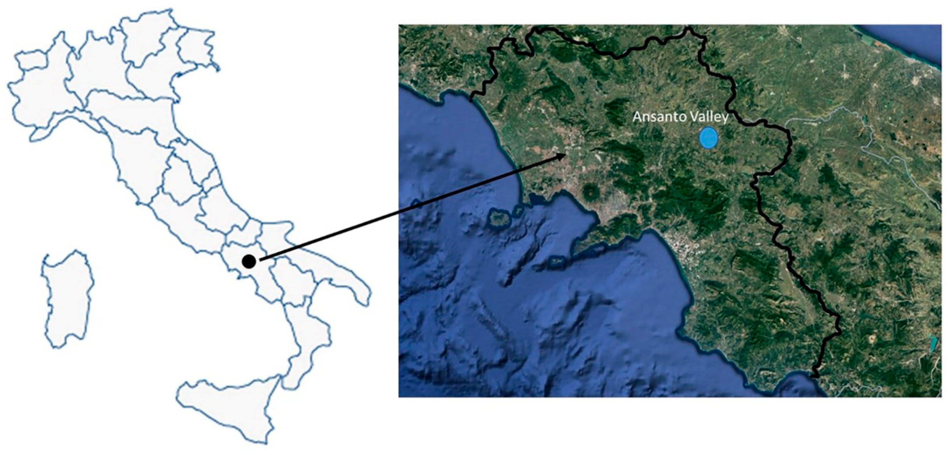 Plants 12 03690 g004