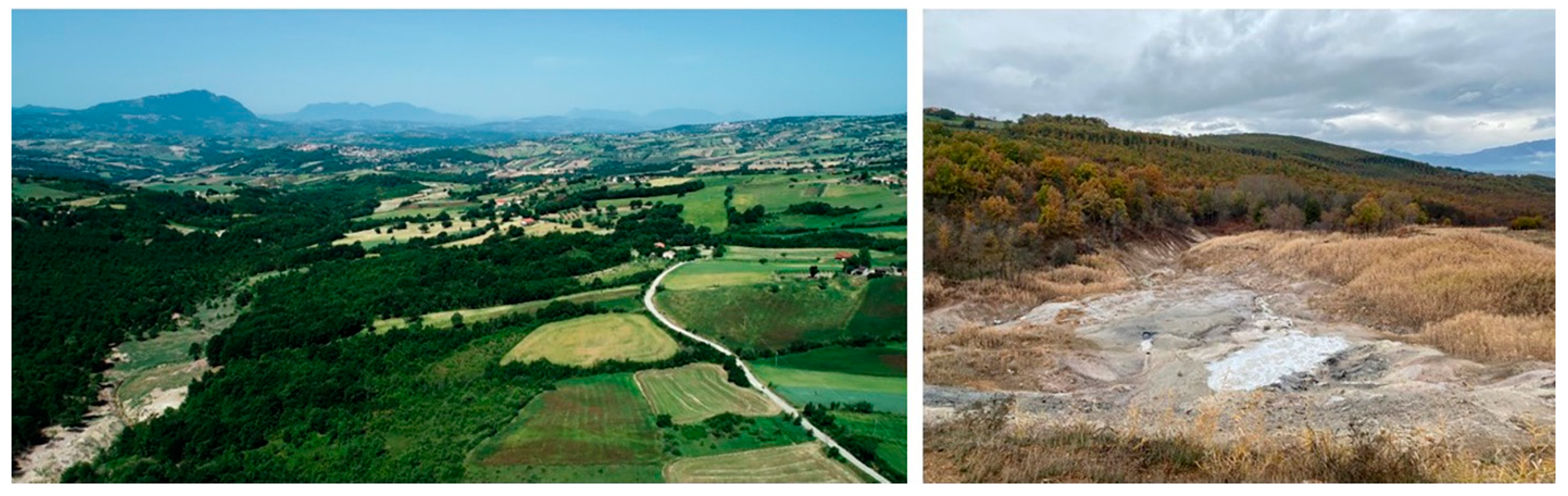 Plants 12 03690 g005