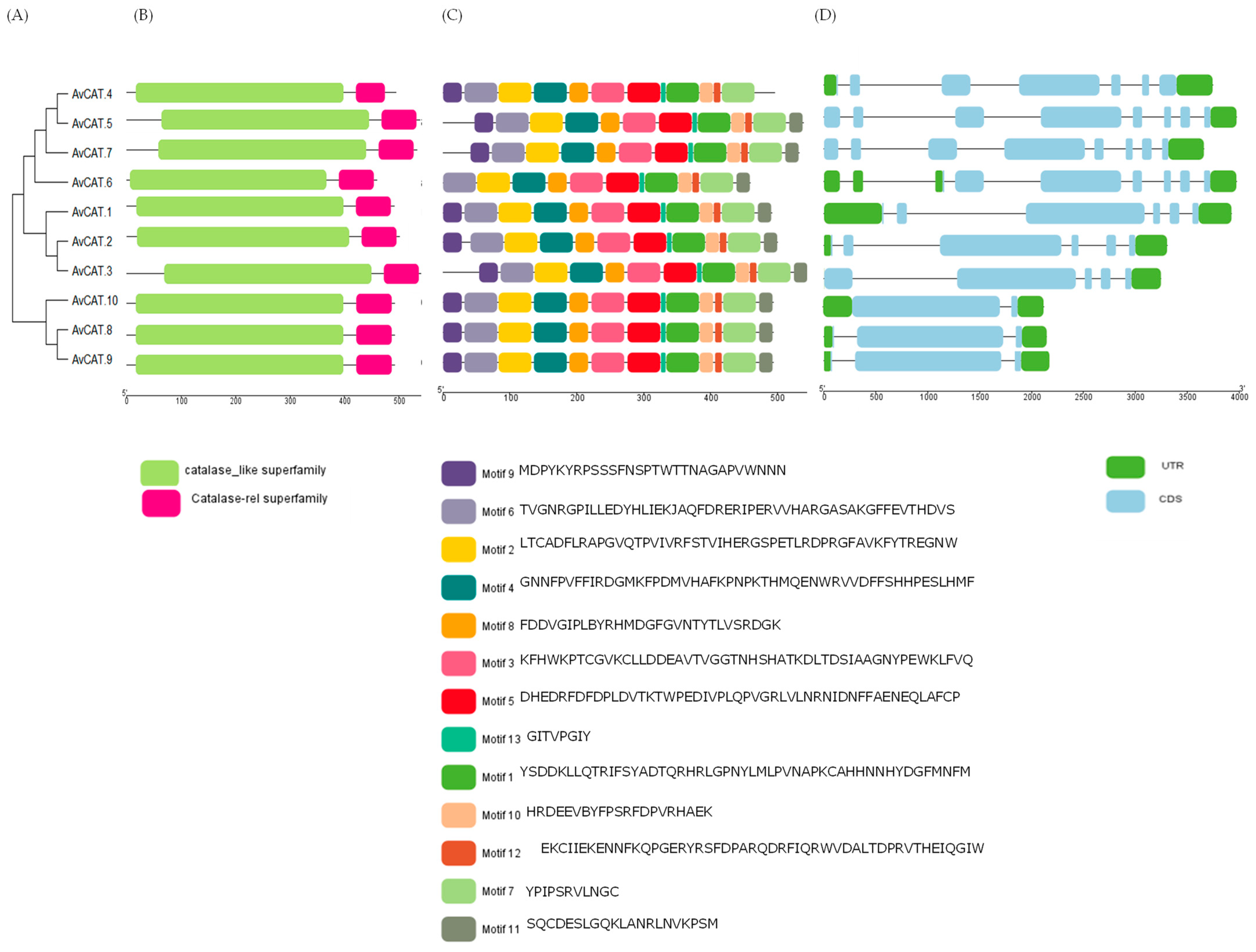 Plants 12 03694 g001