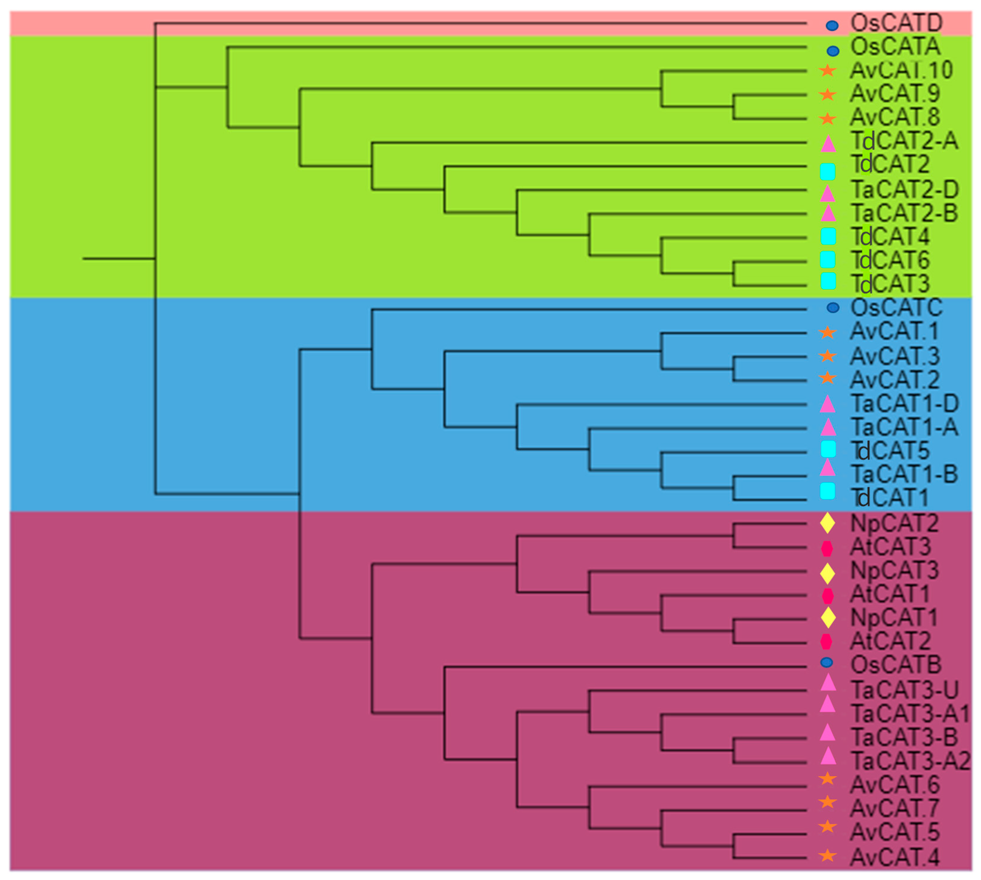 Plants 12 03694 g002