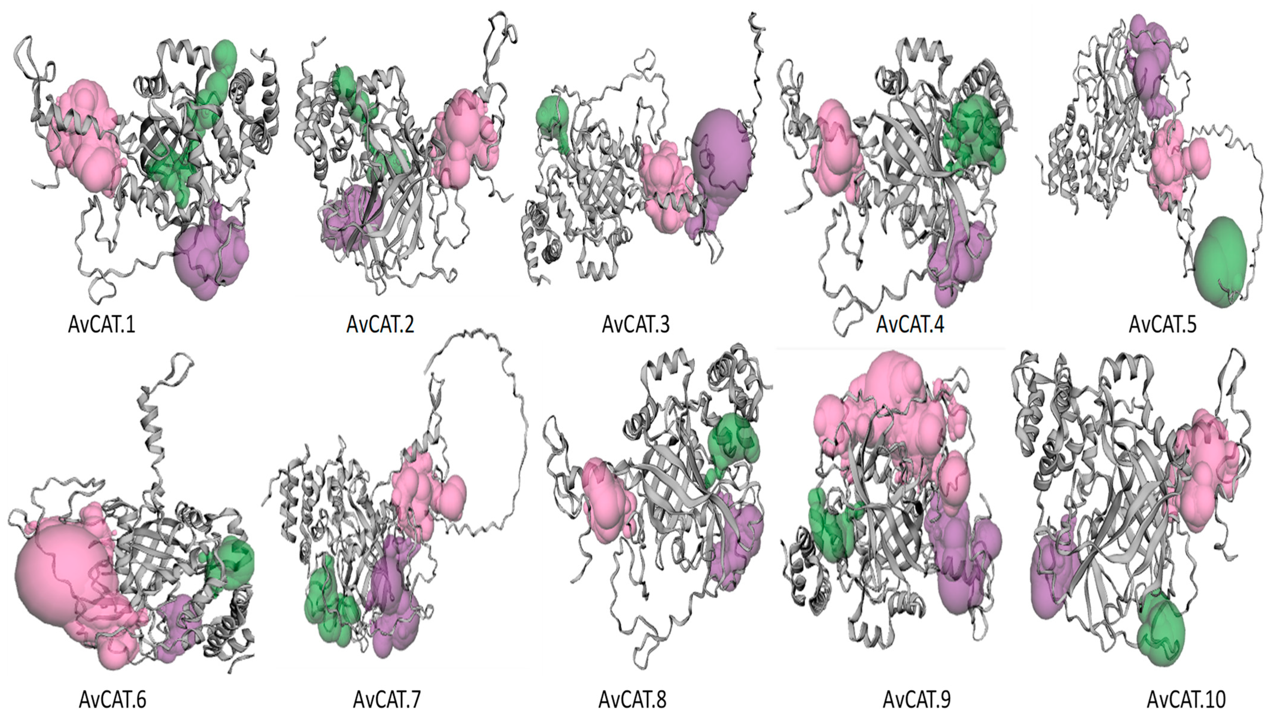 Plants 12 03694 g004