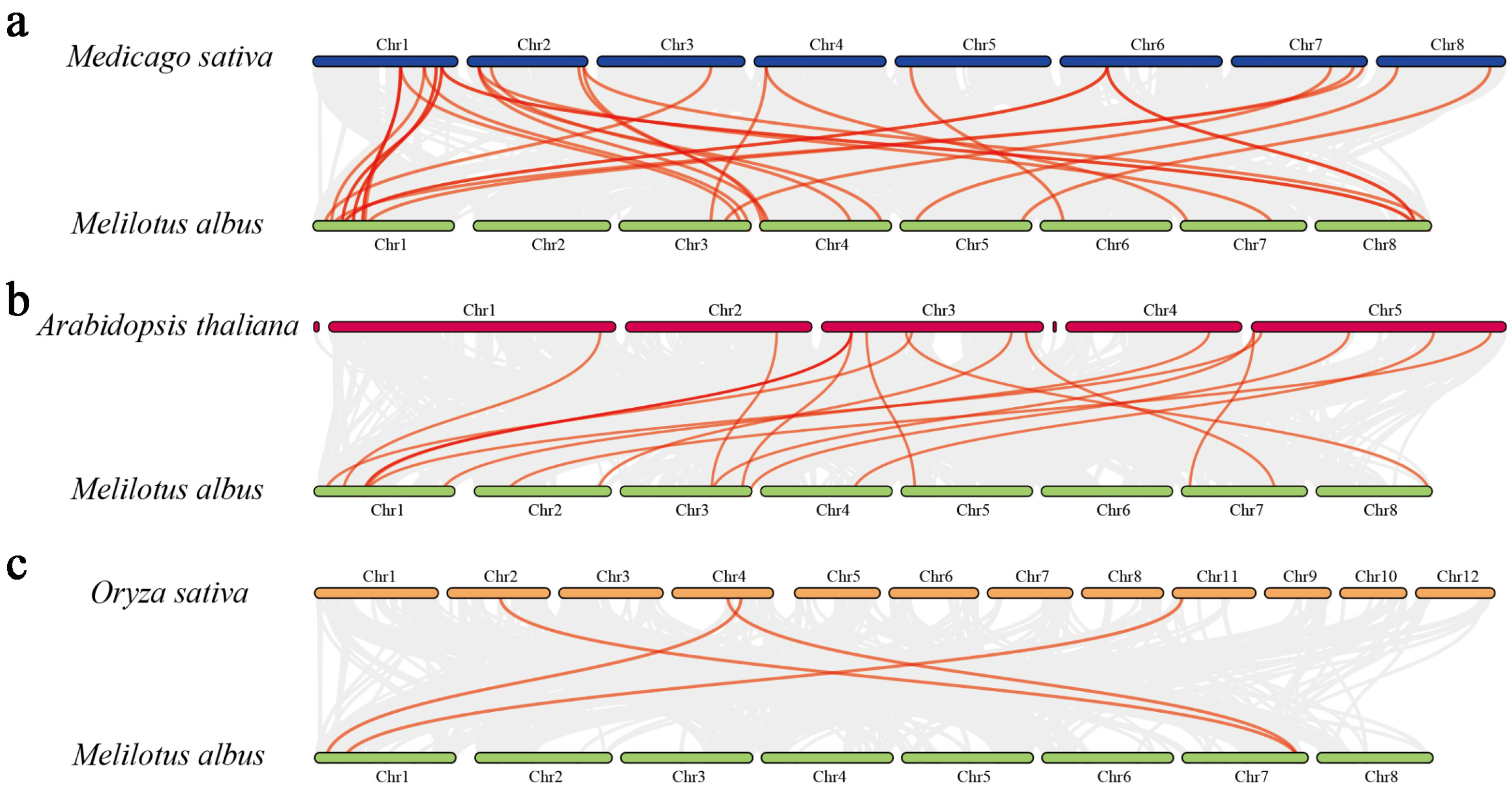 Plants 12 03696 g006