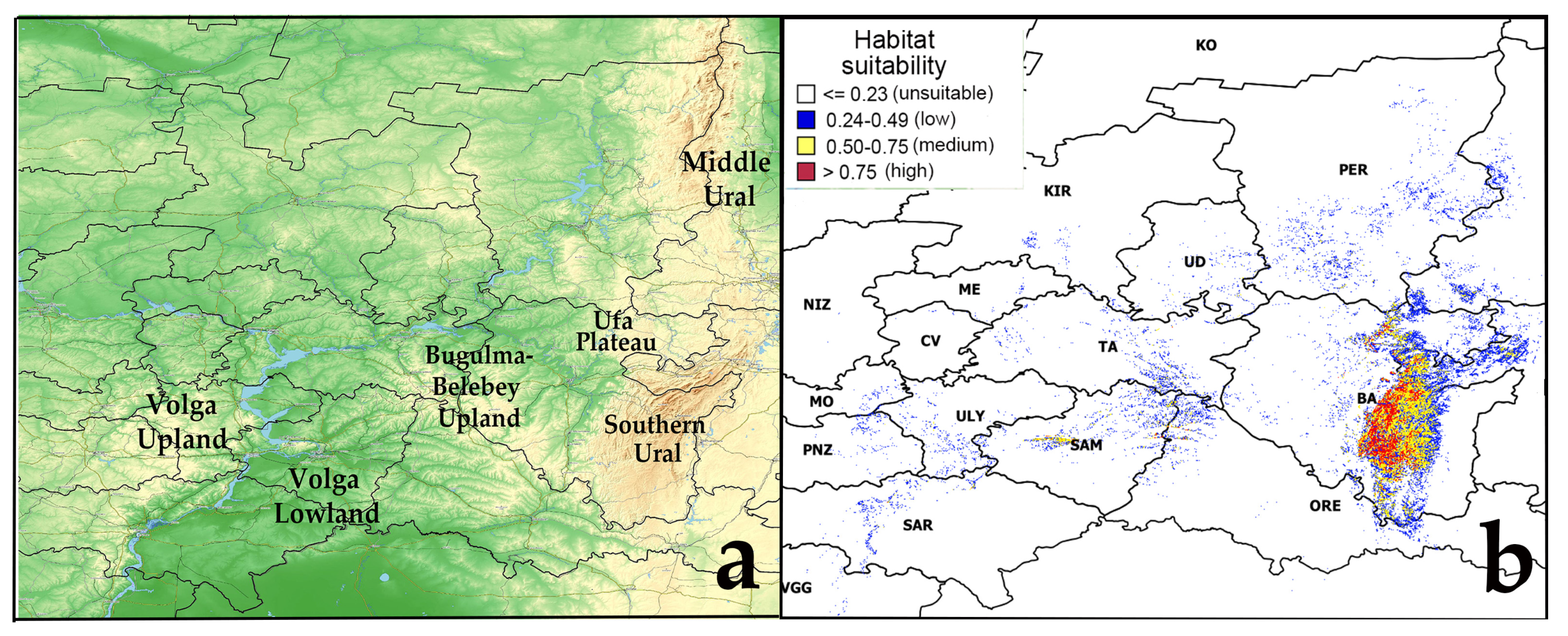 Plants 12 03698 g001
