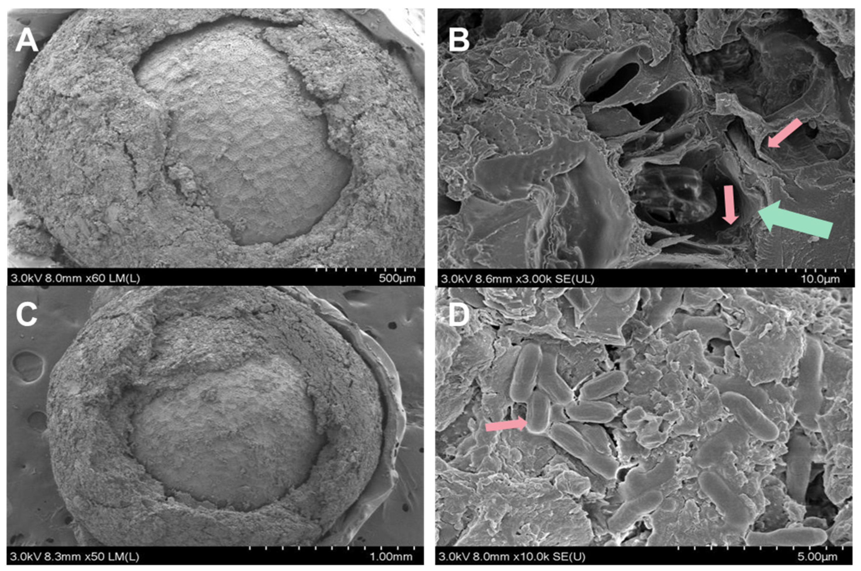 Plants 12 03702 g005