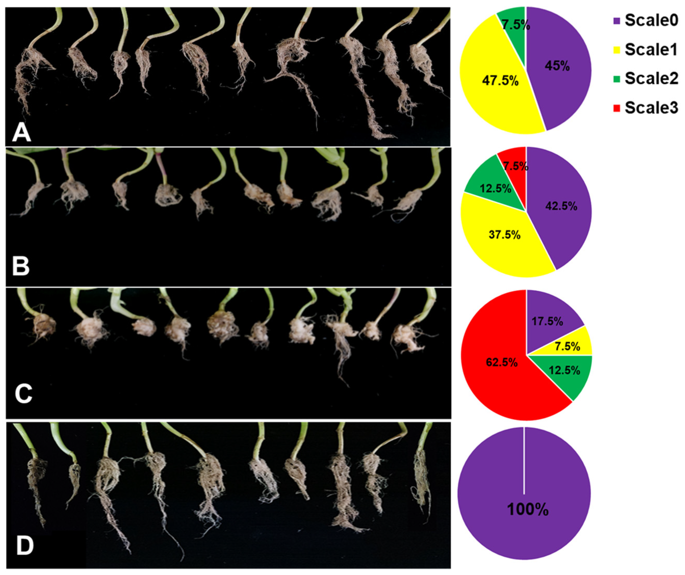 Plants 12 03702 g007