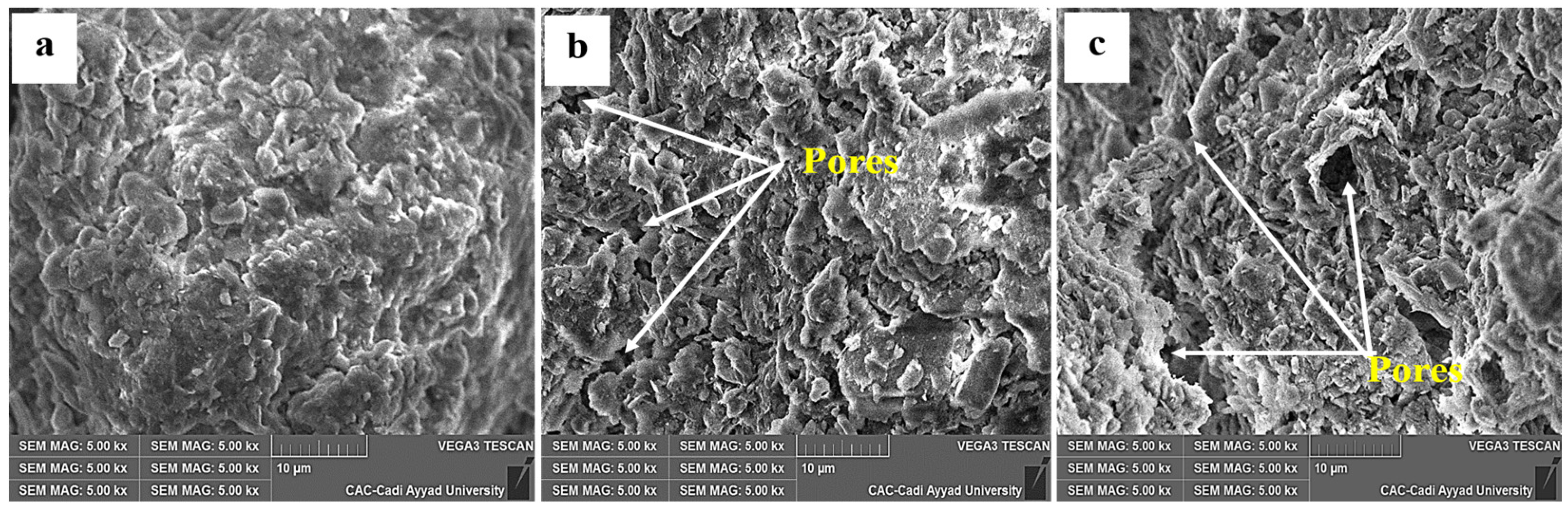 Plants 12 03703 g003