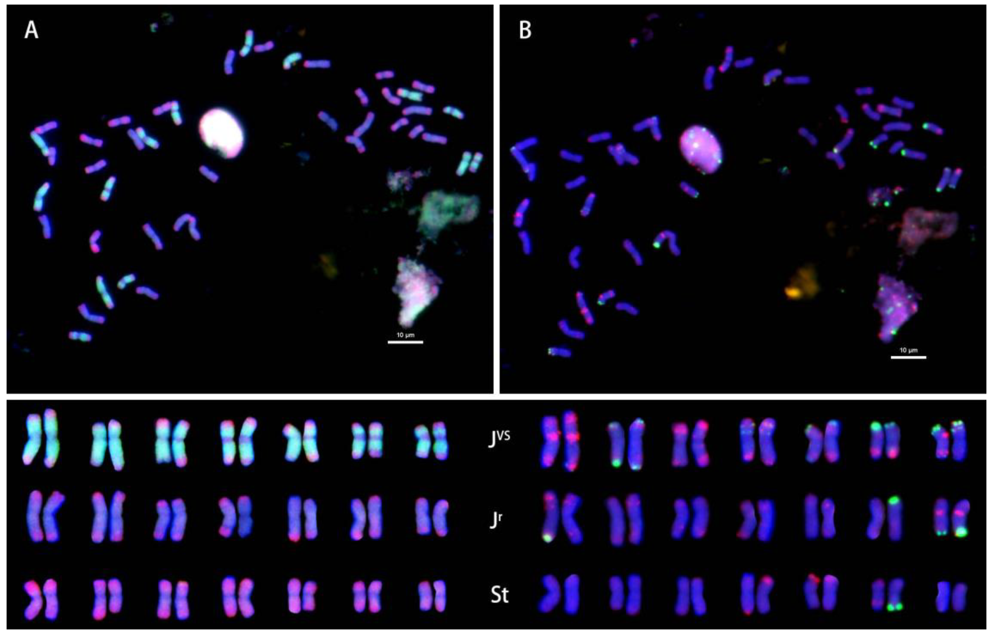 Plants 12 03705 g001
