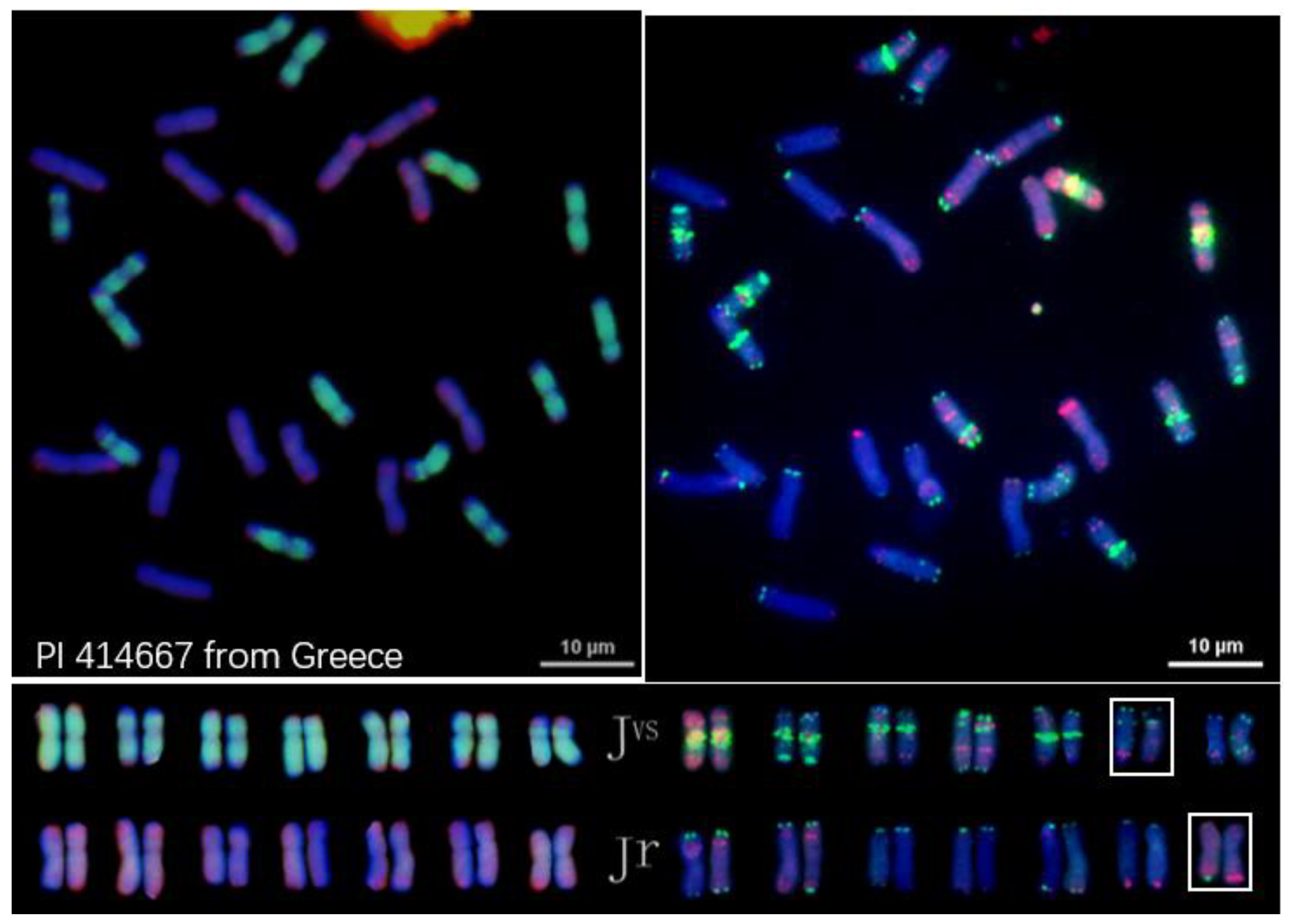 Plants 12 03705 g003