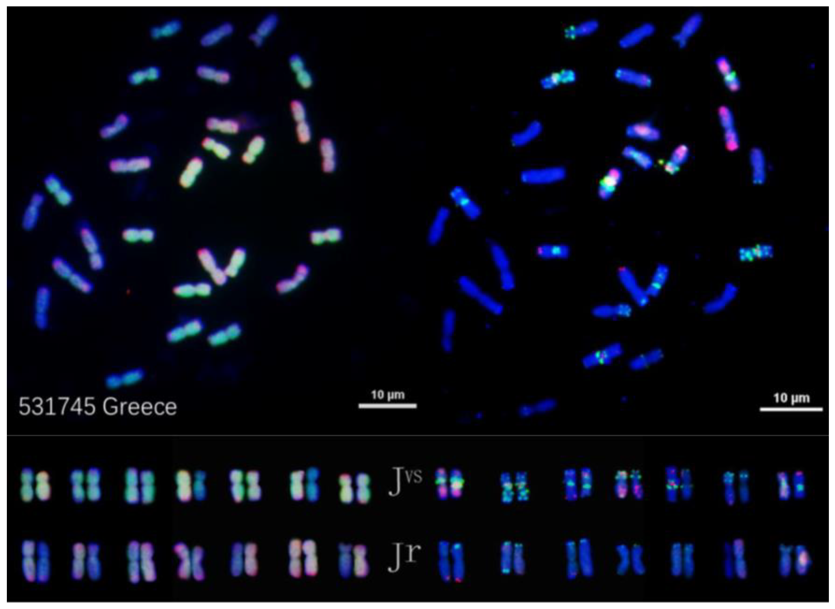 Plants 12 03705 g004