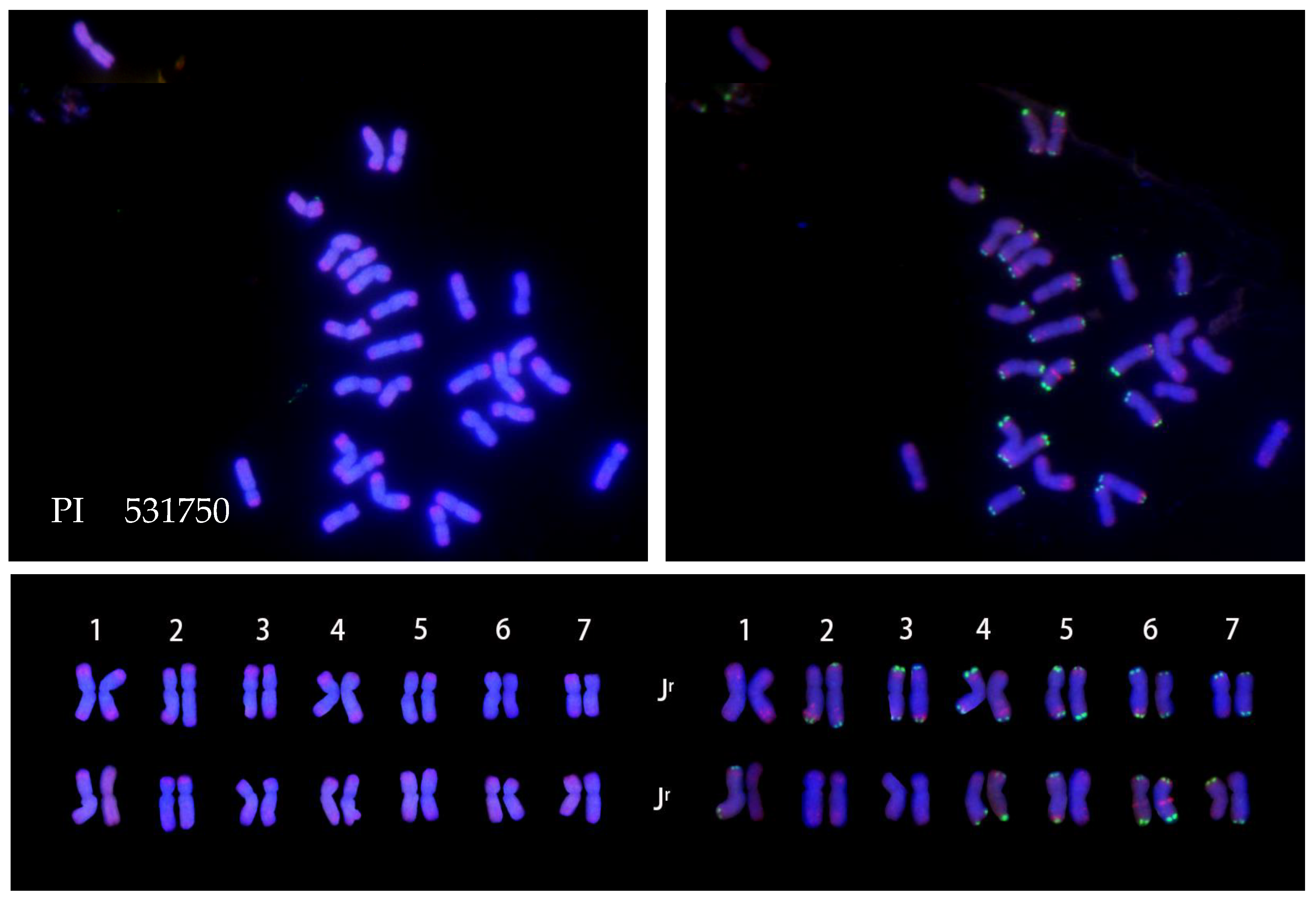 Plants 12 03705 g005