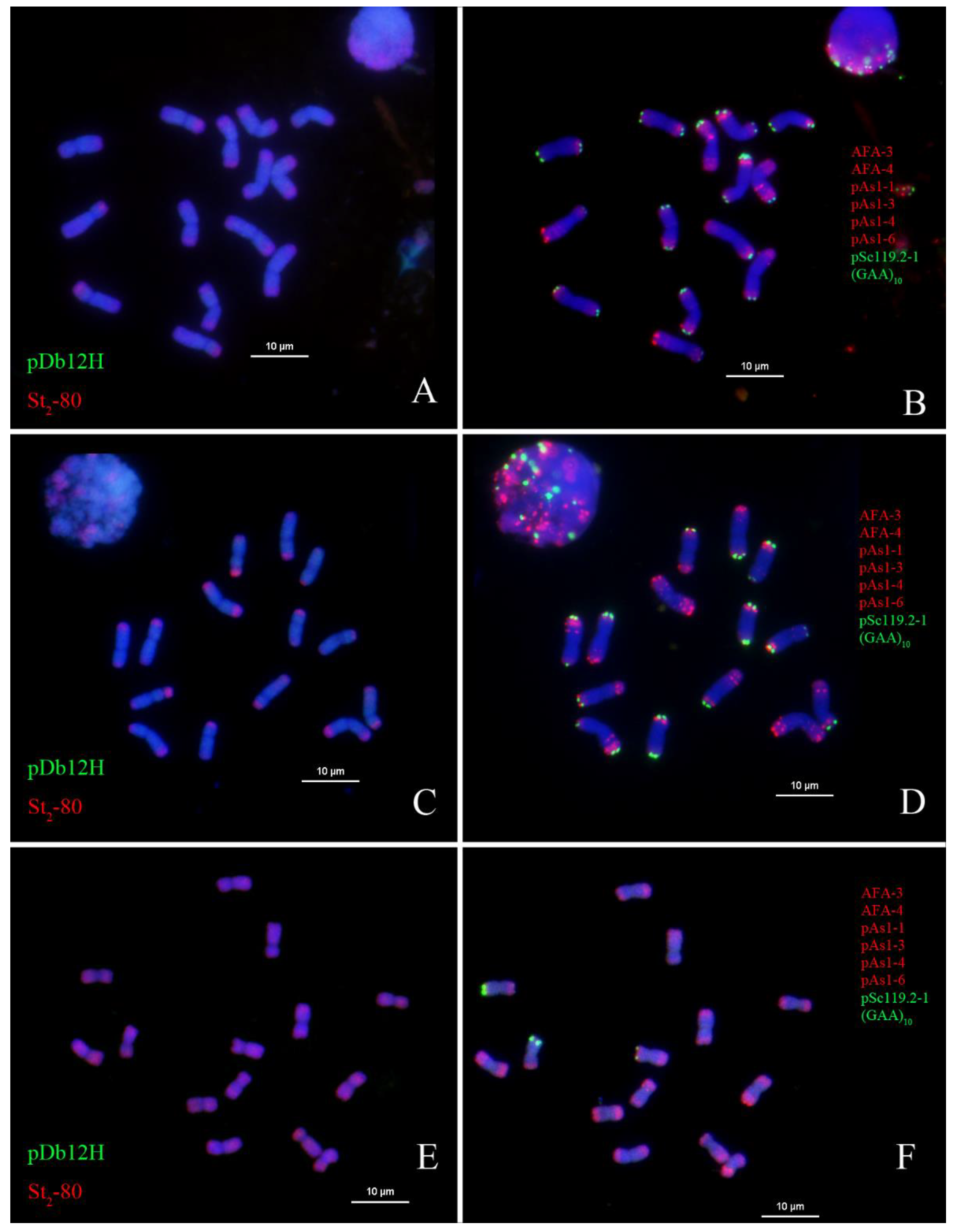 Plants 12 03705 g006