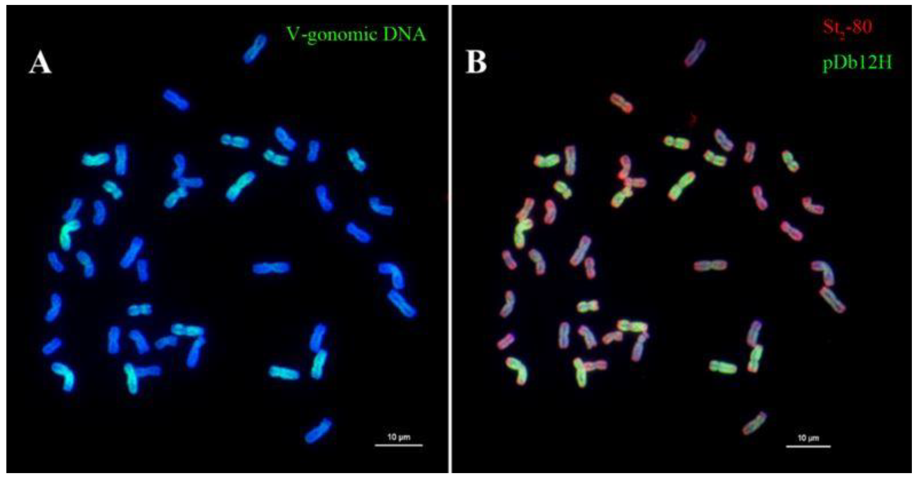 Plants 12 03705 g008