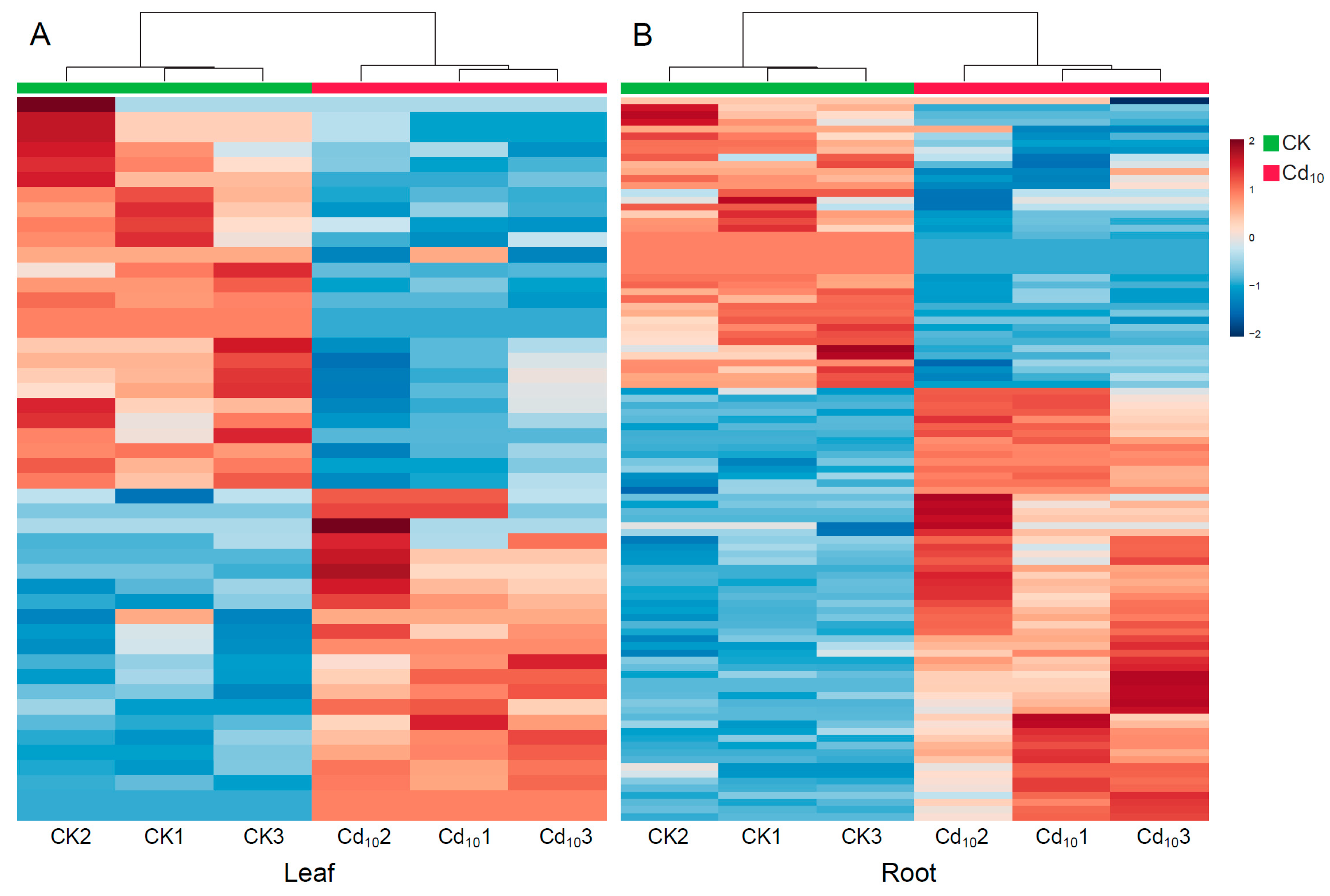 Plants 12 03713 g003