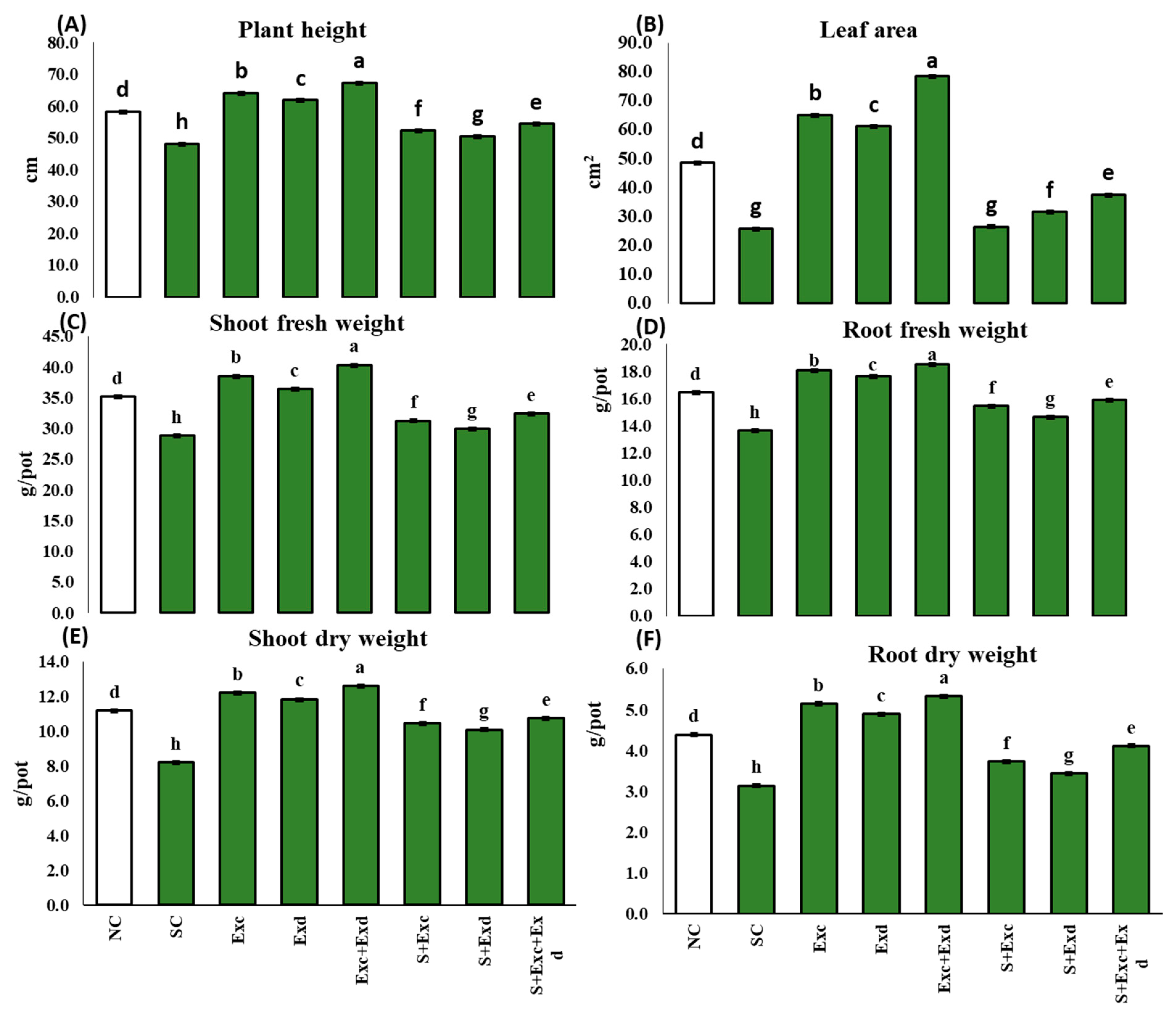 Plants 12 03714 g001