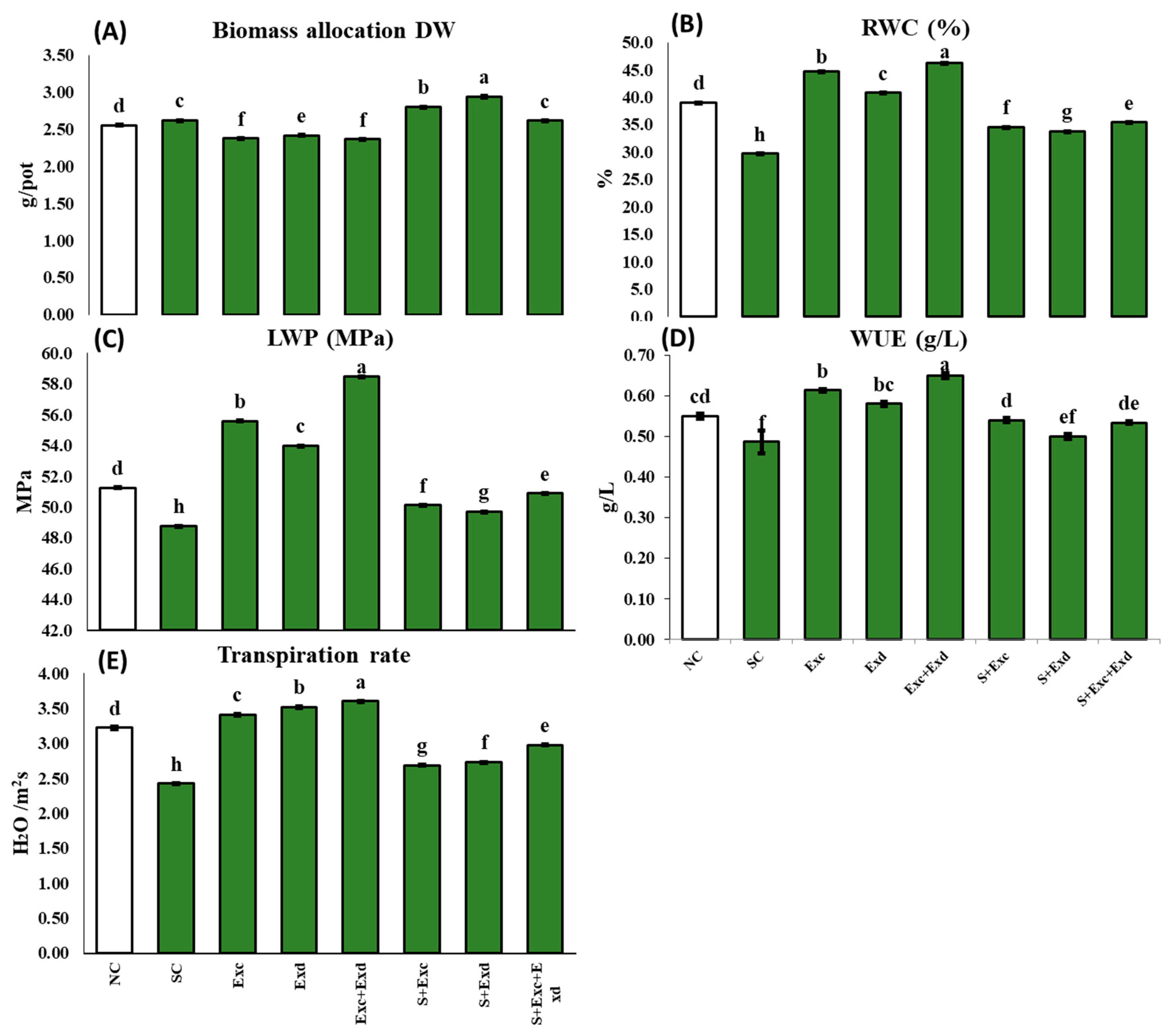 Plants 12 03714 g002