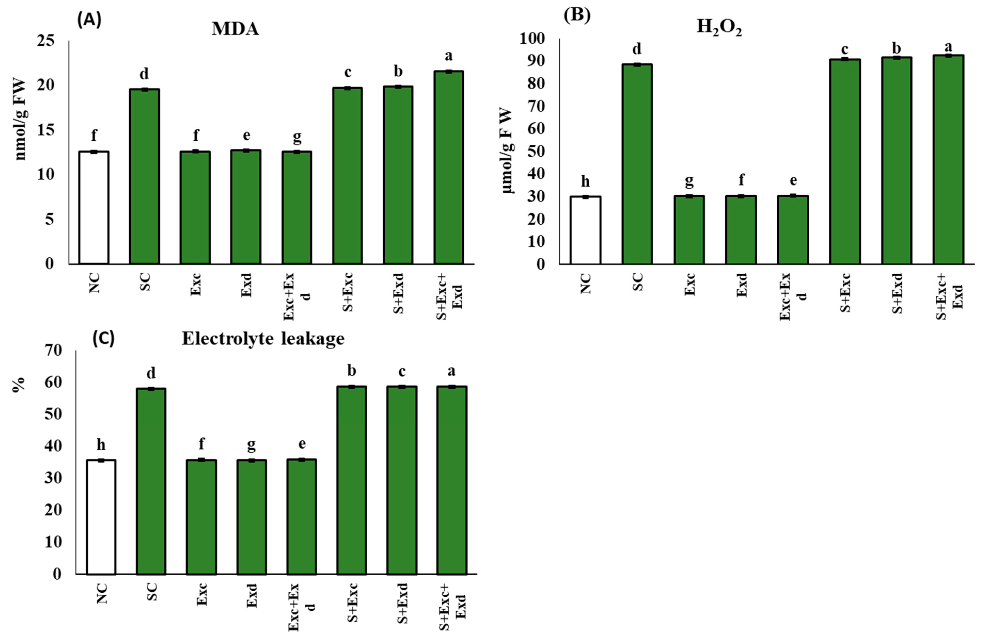 Plants 12 03714 g004